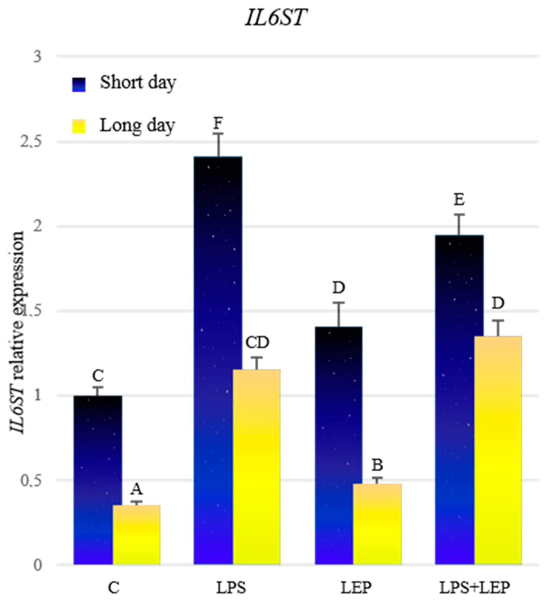 Ijms 21 04153 g006 Ijms 21 04153 g006