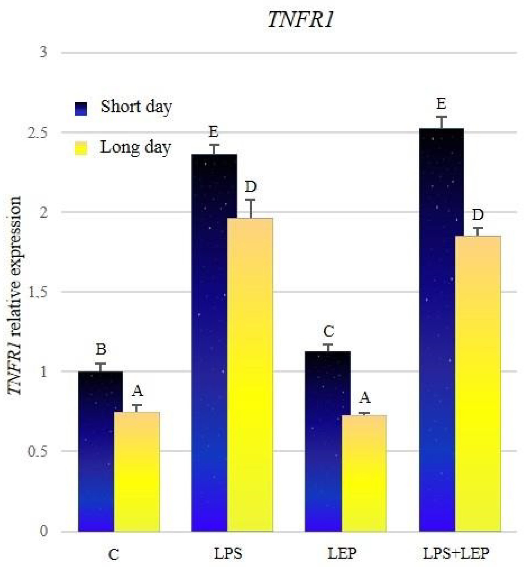 Ijms 21 04153 g008 Ijms 21 04153 g008