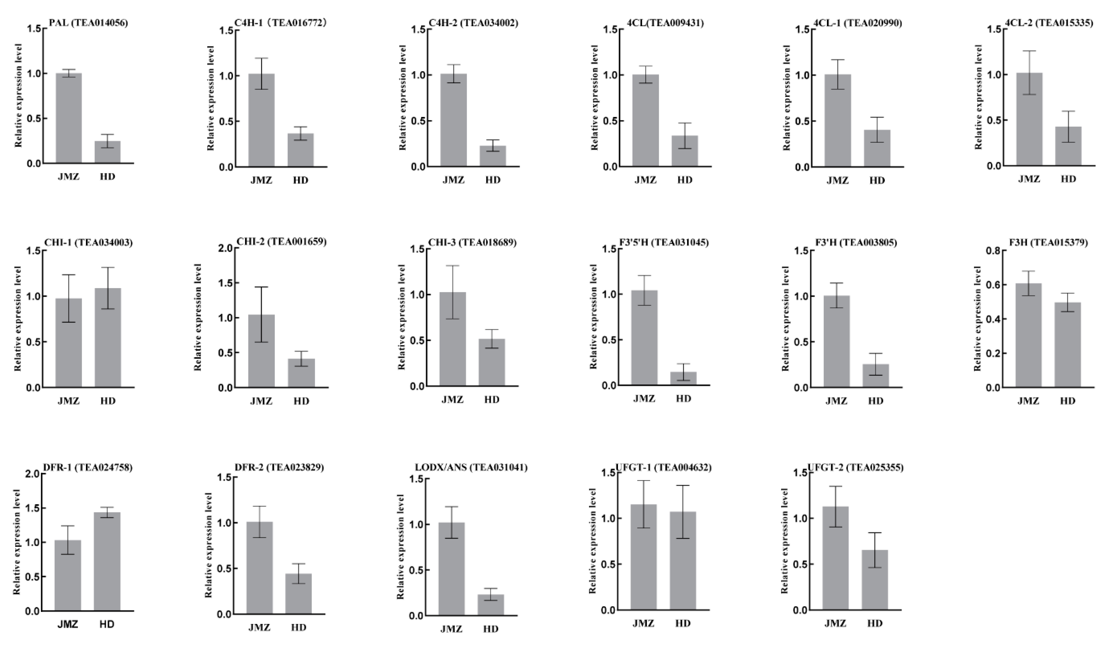 Ijms 21 04167 g006 Ijms 21 04167 g006