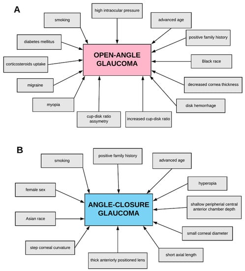 IJMS Free Full Text The Genetic and Endoplasmic Reticulum