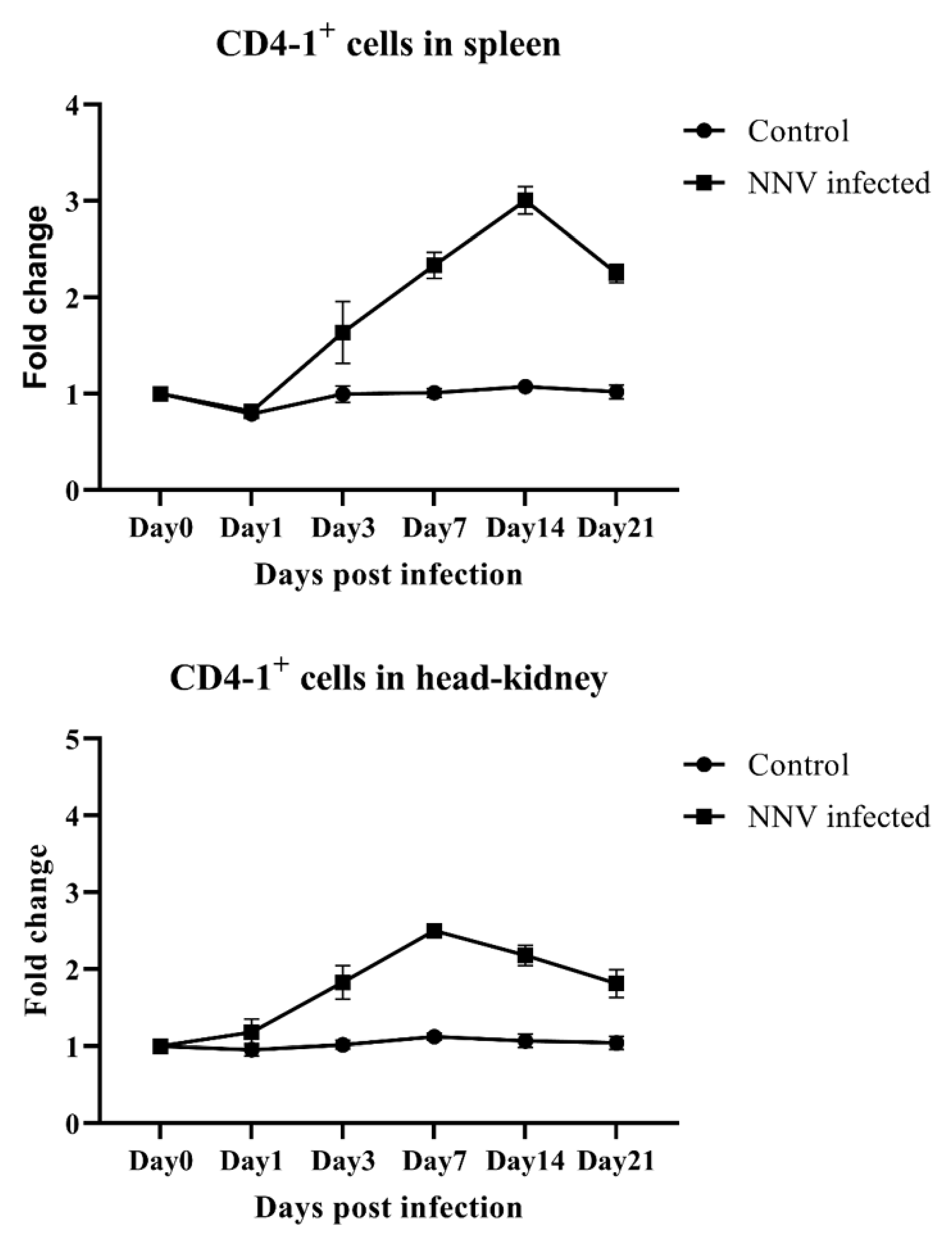 Ijms 21 04180 g005 Ijms 21 04180 g005