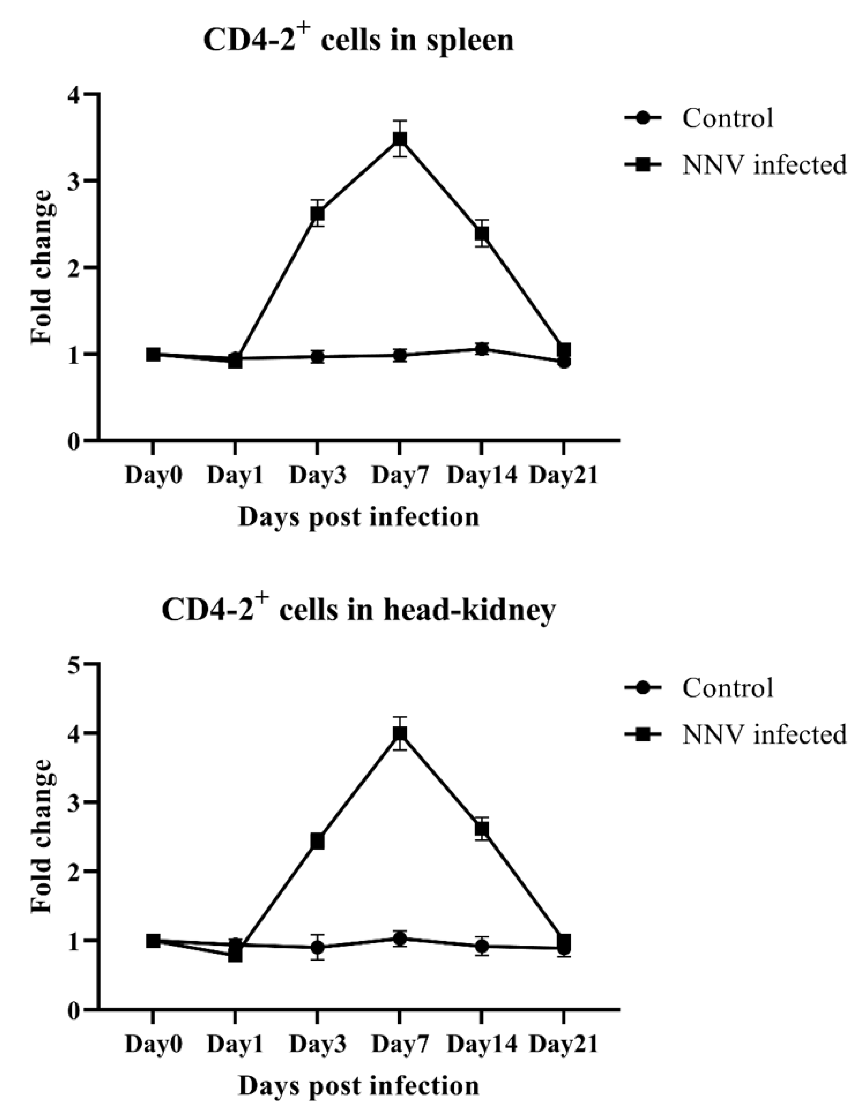 Ijms 21 04180 g006 Ijms 21 04180 g006