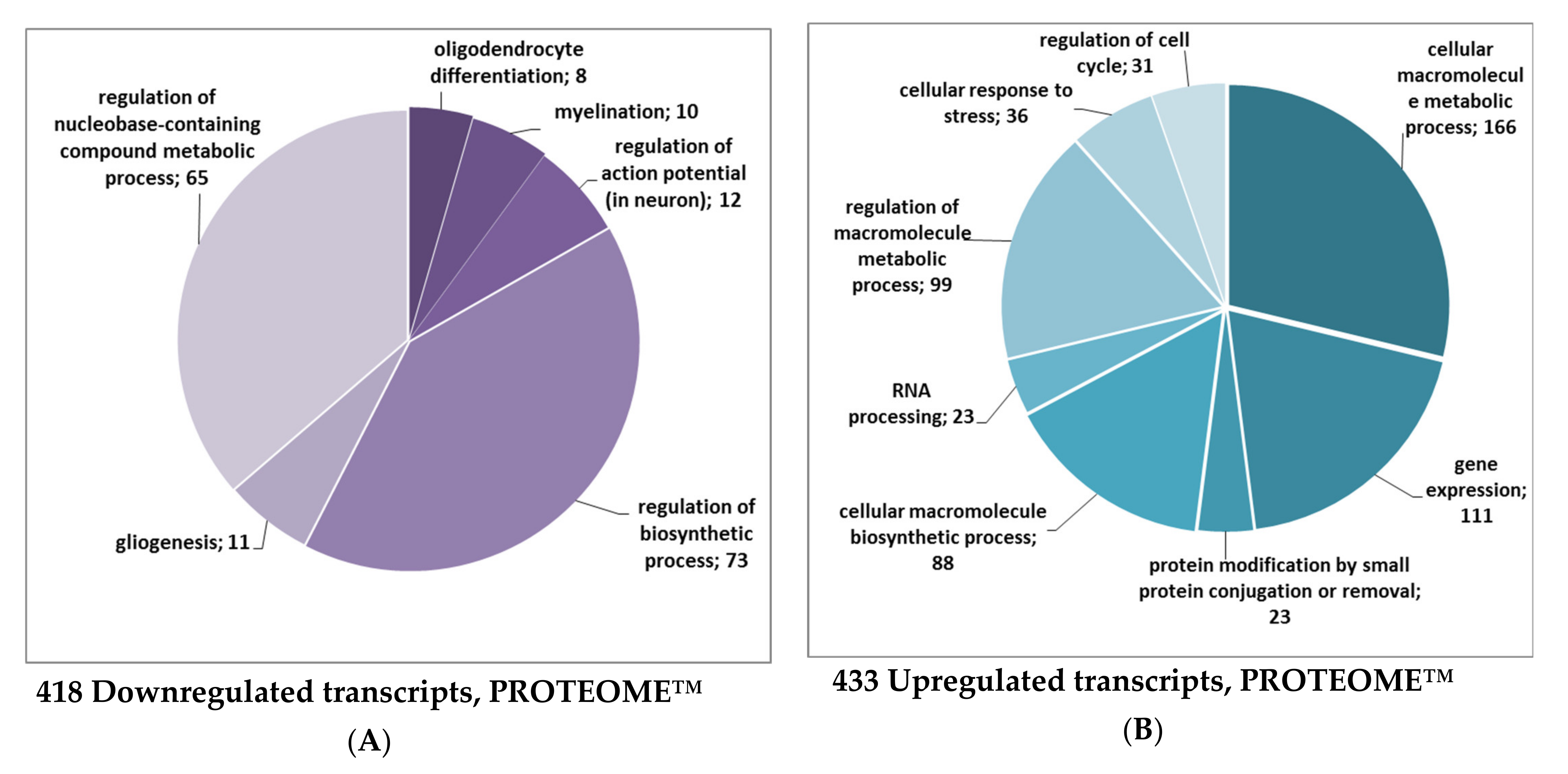 IJMS | Free Full-Text | A Neuroprotective Dose of Isatin Causes Multilevel  Changes Involving the Brain Proteome: Prospects for Further Research | HTML