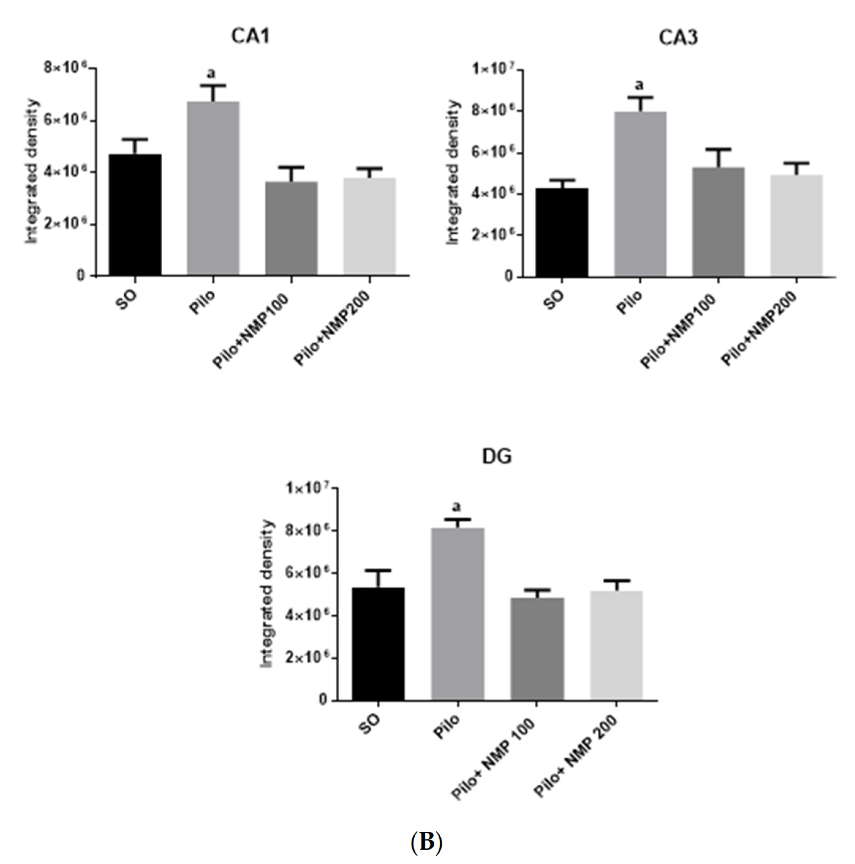 Ijms Free Full Text A Proline Derivative Enriched Fraction From Sideroxylon Obtusifolium Protects The Hippocampus From Intracerebroventricular Pilocarpine Induced Injury Associated With Status Epilepticus In Mice Html