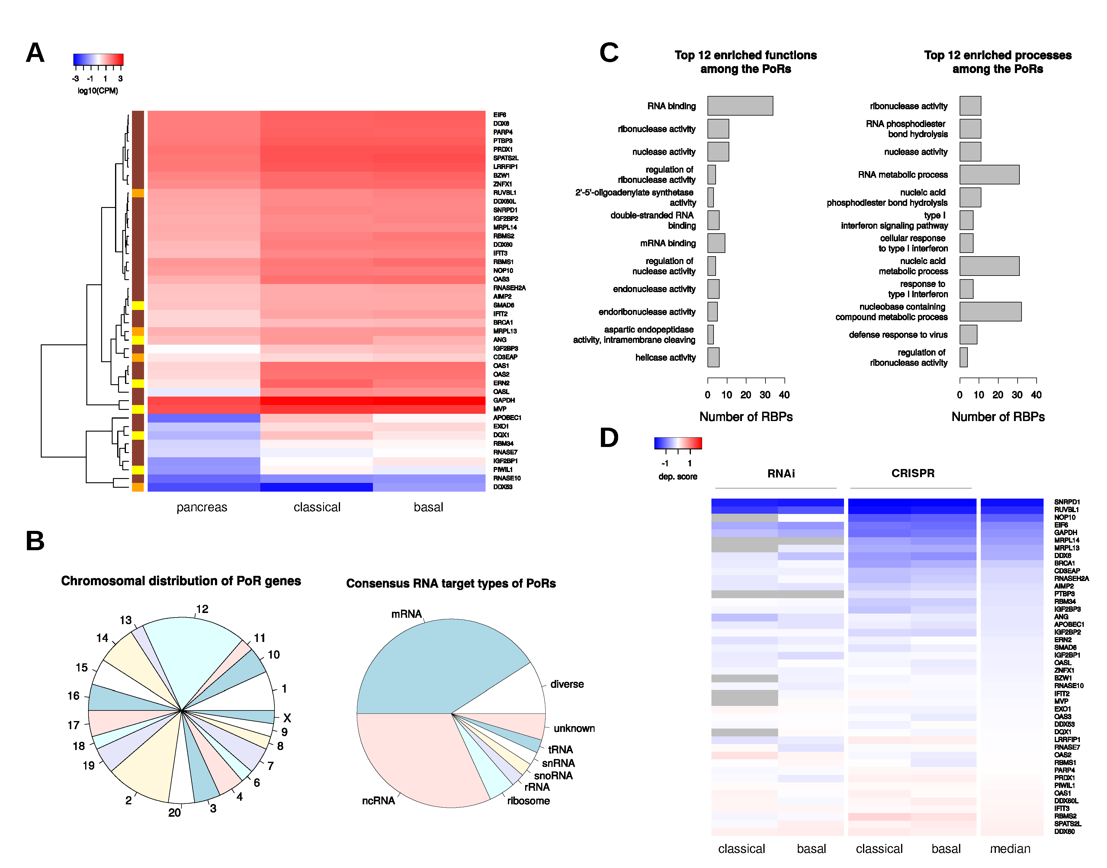 Ijms 21 04190 g003 Ijms 21 04190 g003