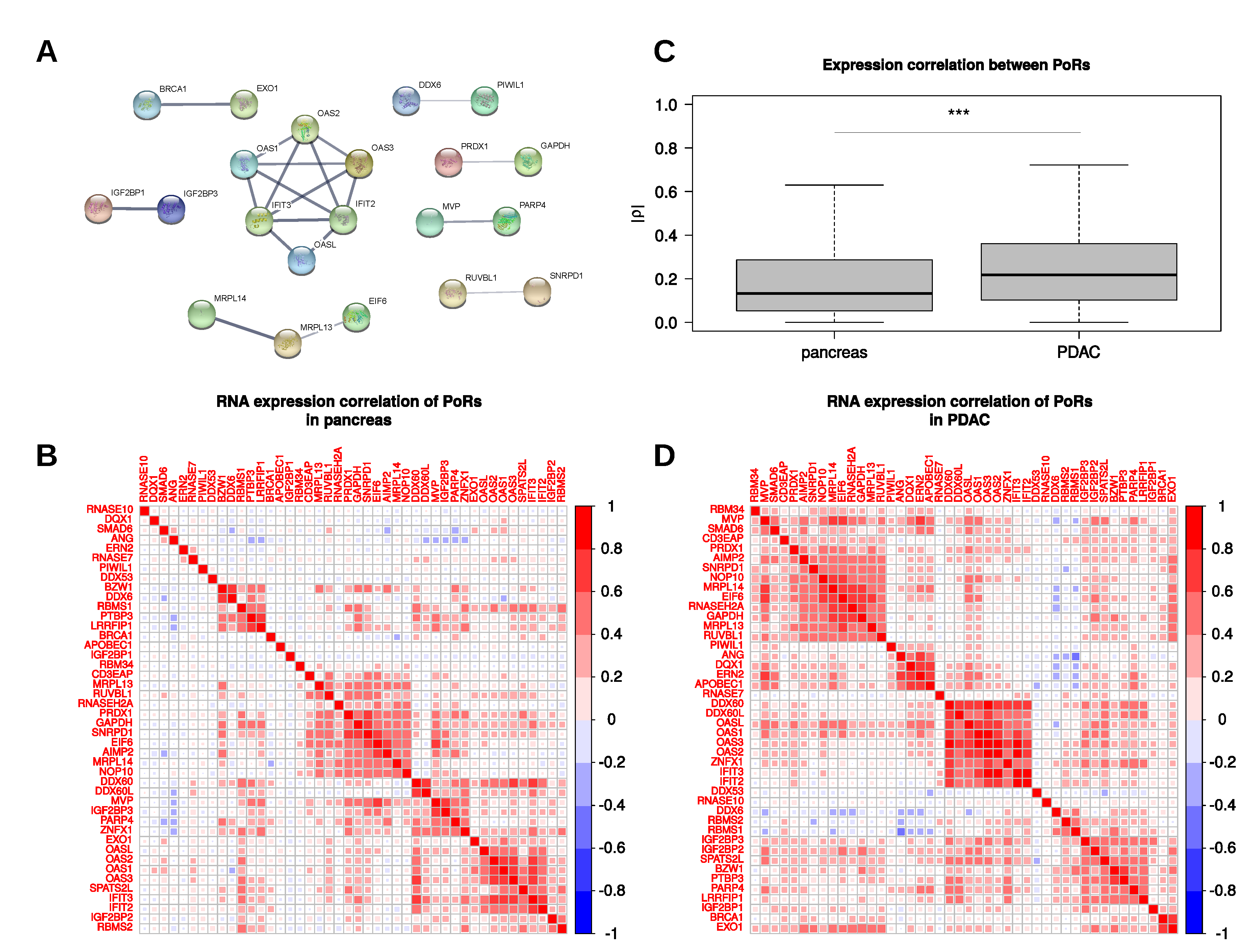 Ijms 21 04190 g004 Ijms 21 04190 g004
