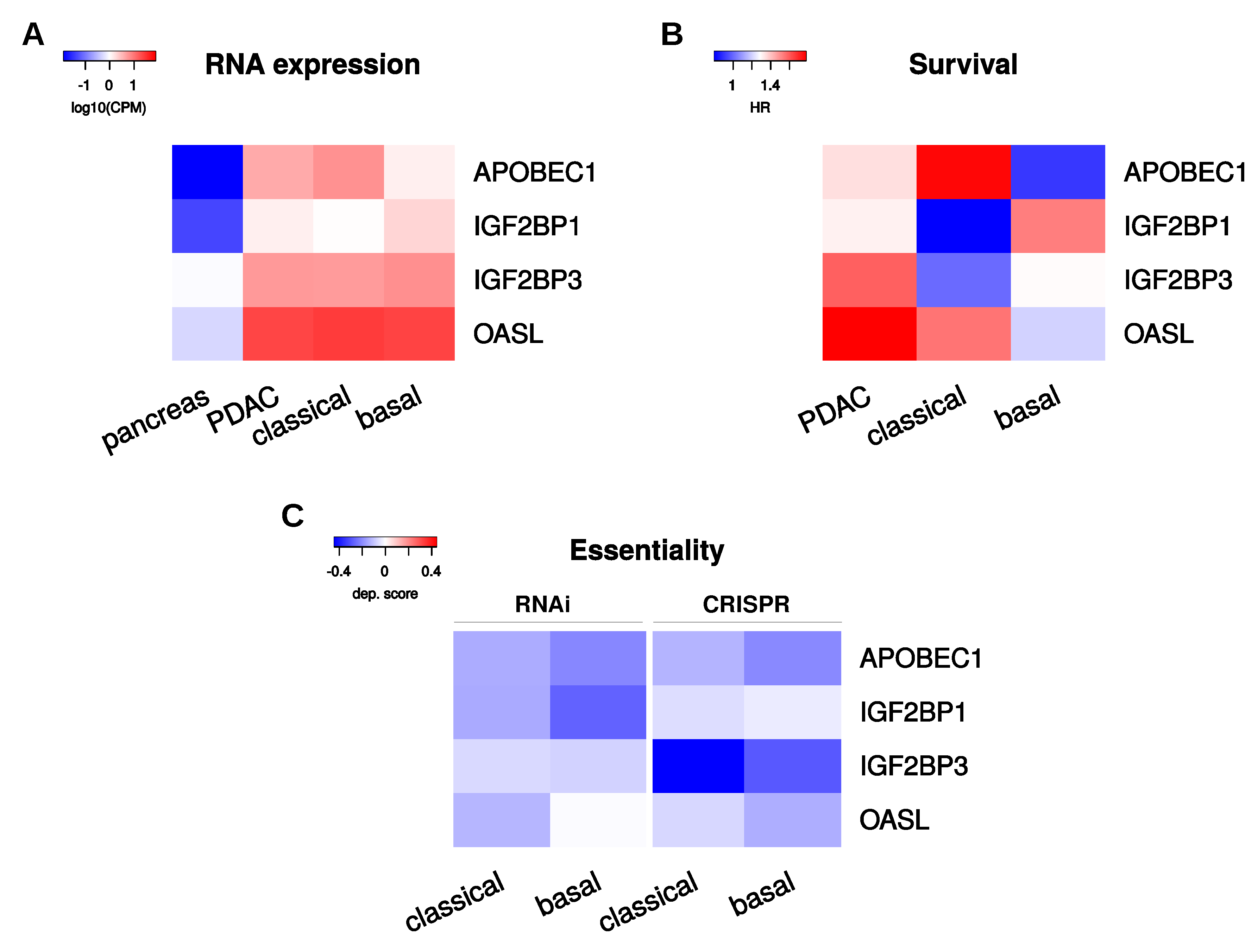 Ijms 21 04190 g006 Ijms 21 04190 g006