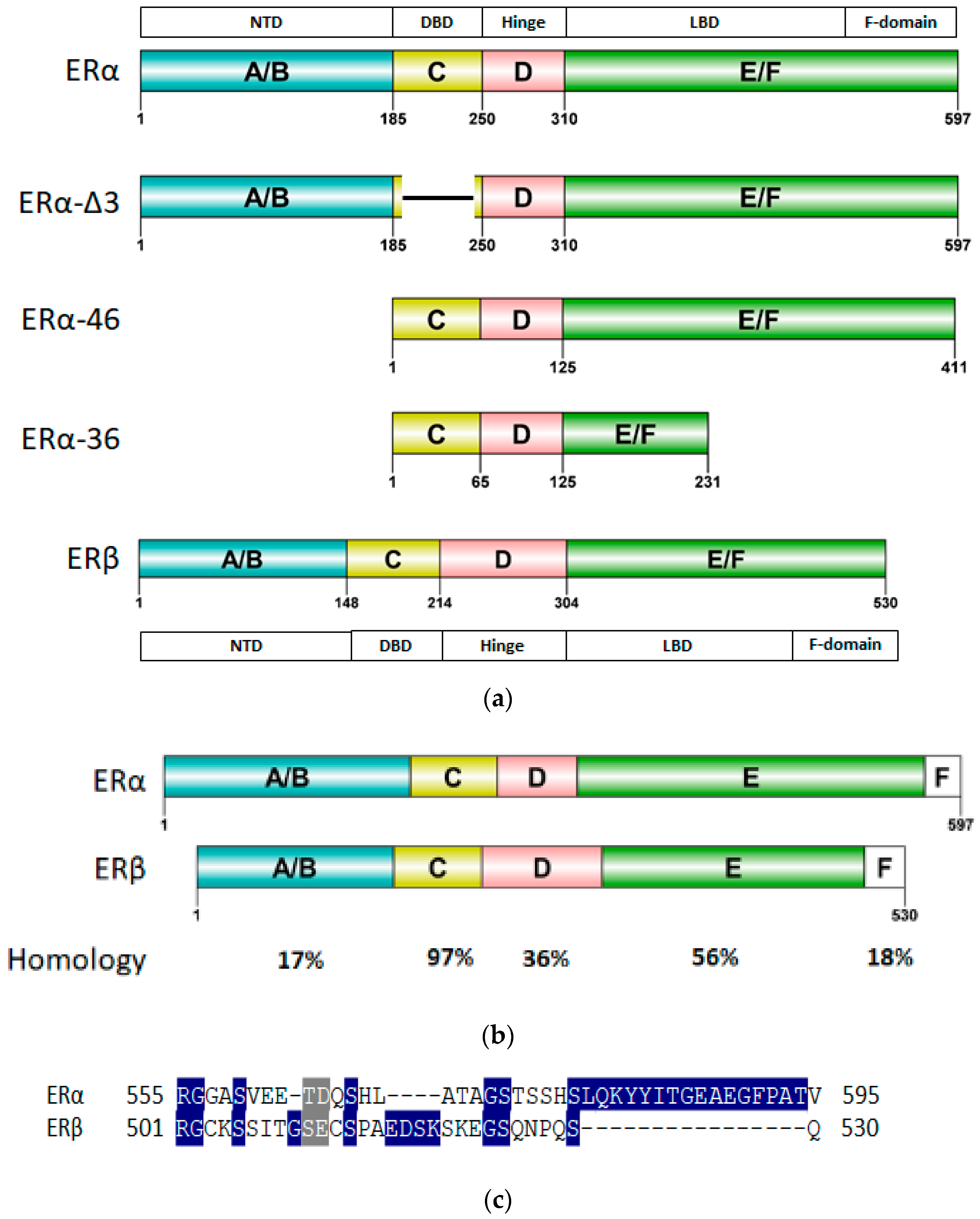 Ijms Free Full Text Computer Aided Ligand Discovery For Estrogen Receptor Alpha Html