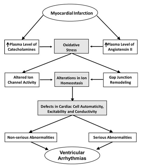 IJMS | Free Full-Text | Role of Oxidative Stress in the Genesis of ...