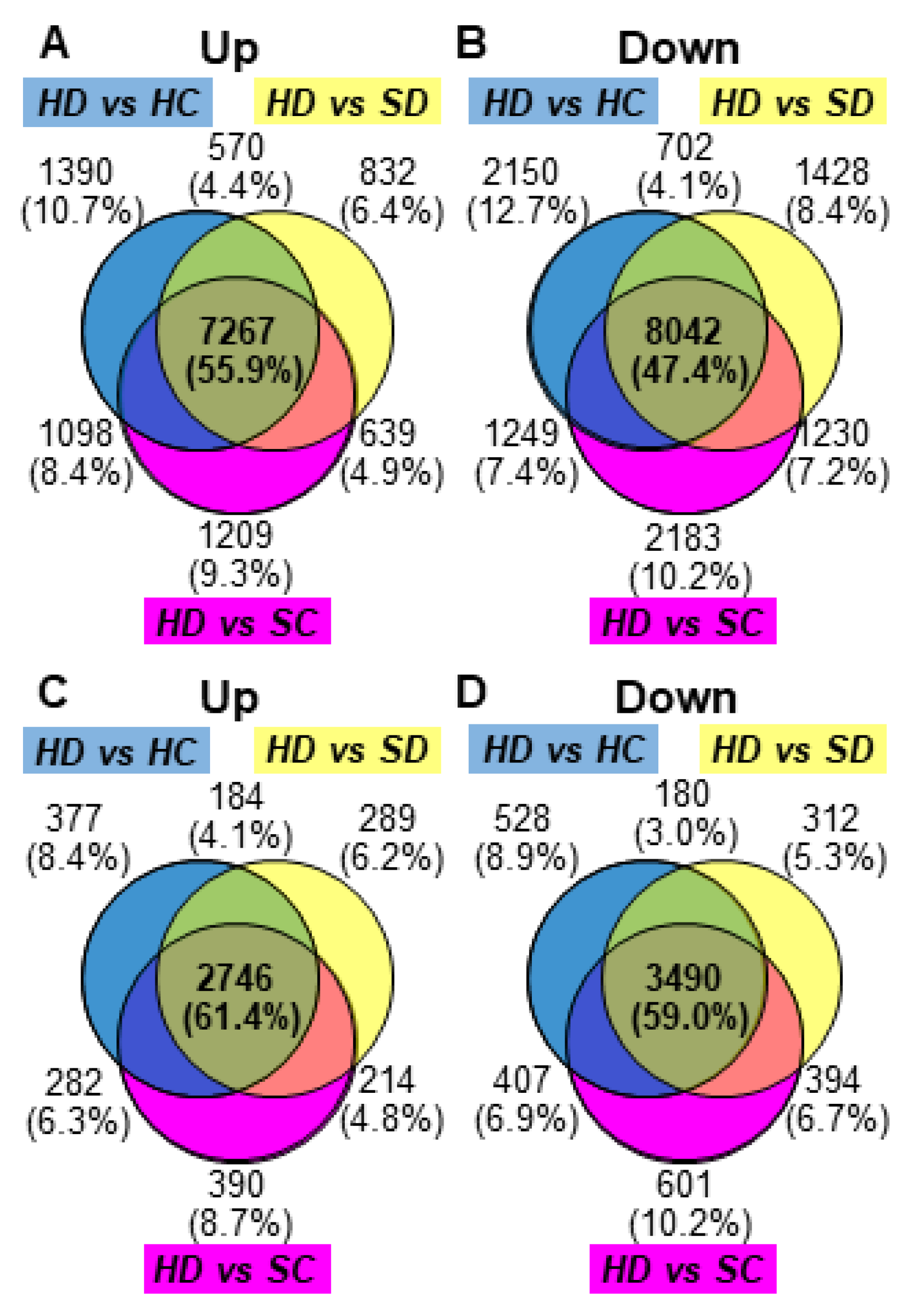 Ijms 21 04202 g003 Ijms 21 04202 g003