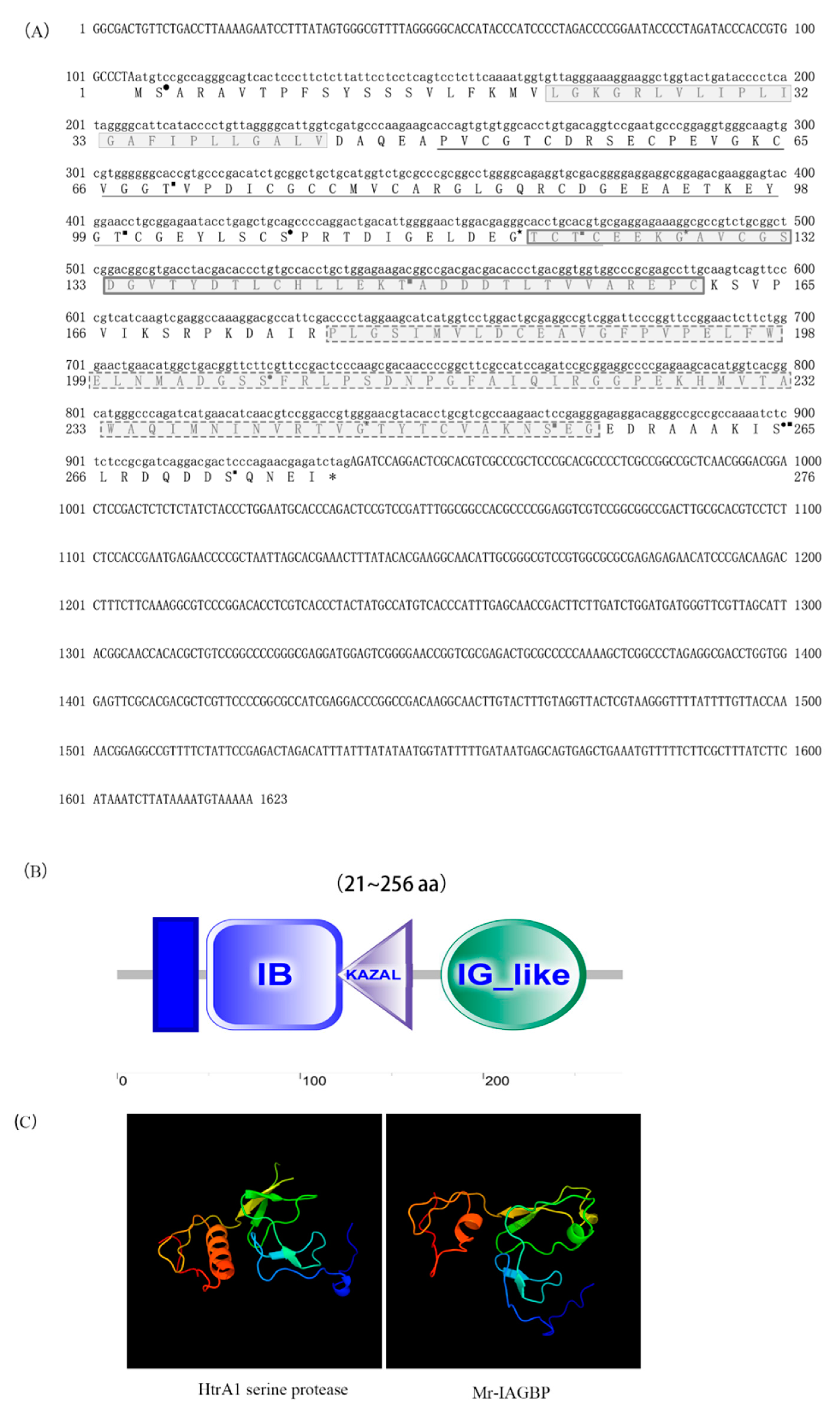 Ijms 21 04207 g001 Ijms 21 04207 g001