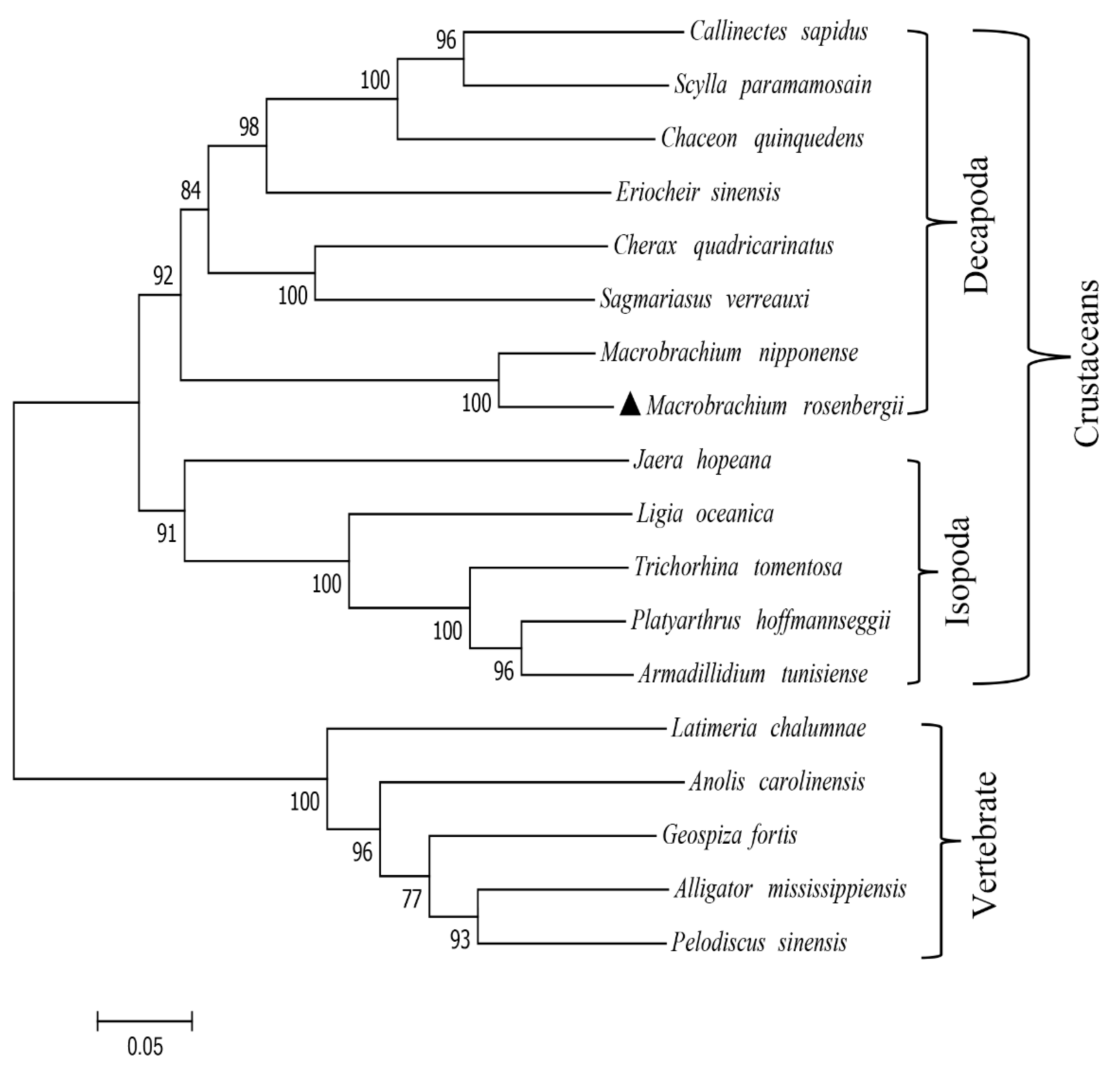 Ijms 21 04207 g003 Ijms 21 04207 g003