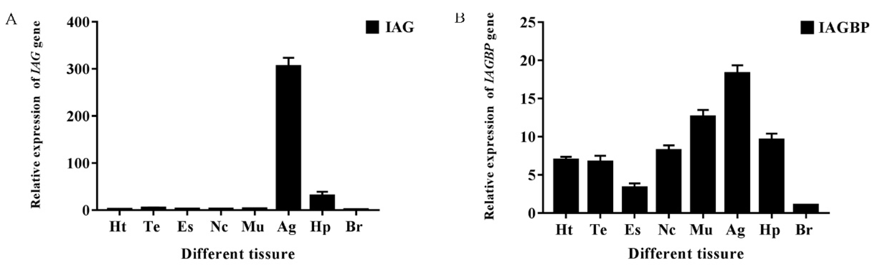 Ijms 21 04207 g005 Ijms 21 04207 g005