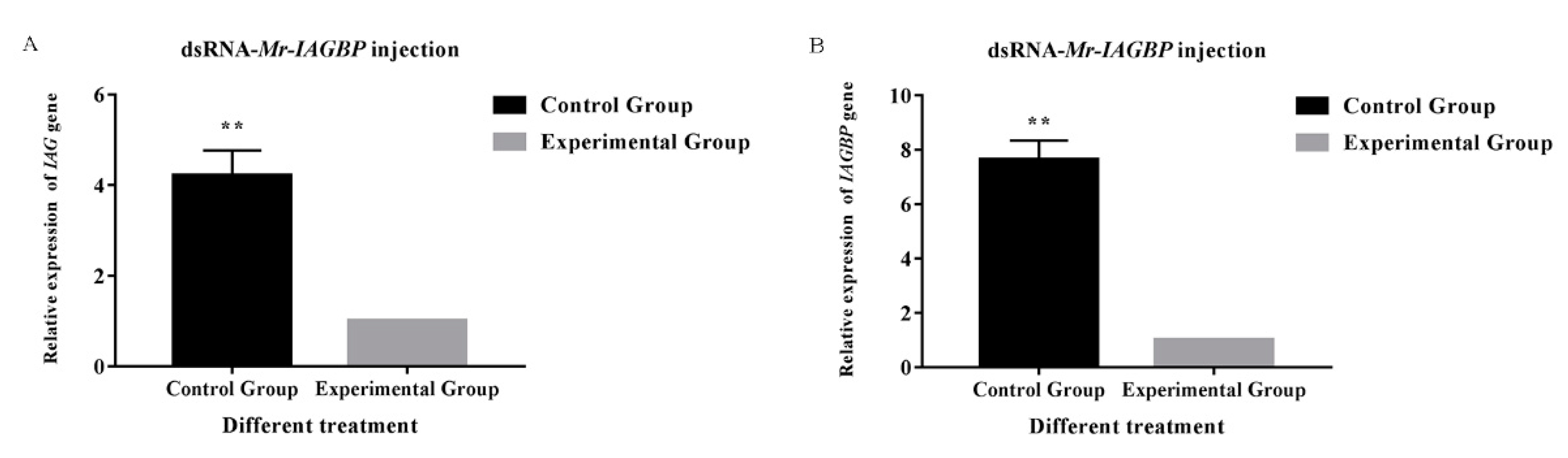 Ijms 21 04207 g007 Ijms 21 04207 g007