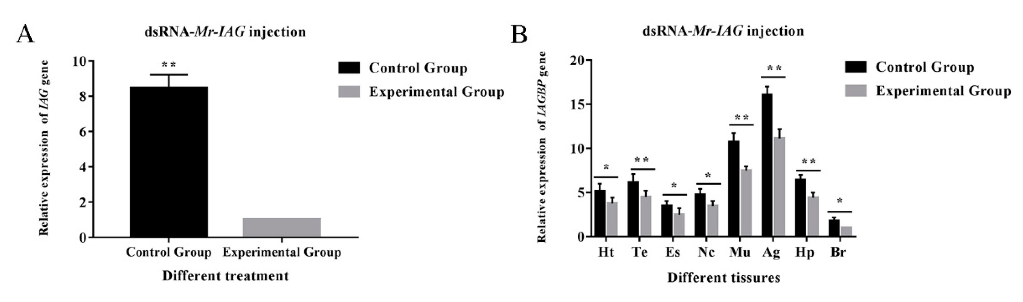 Ijms 21 04207 g008 Ijms 21 04207 g008