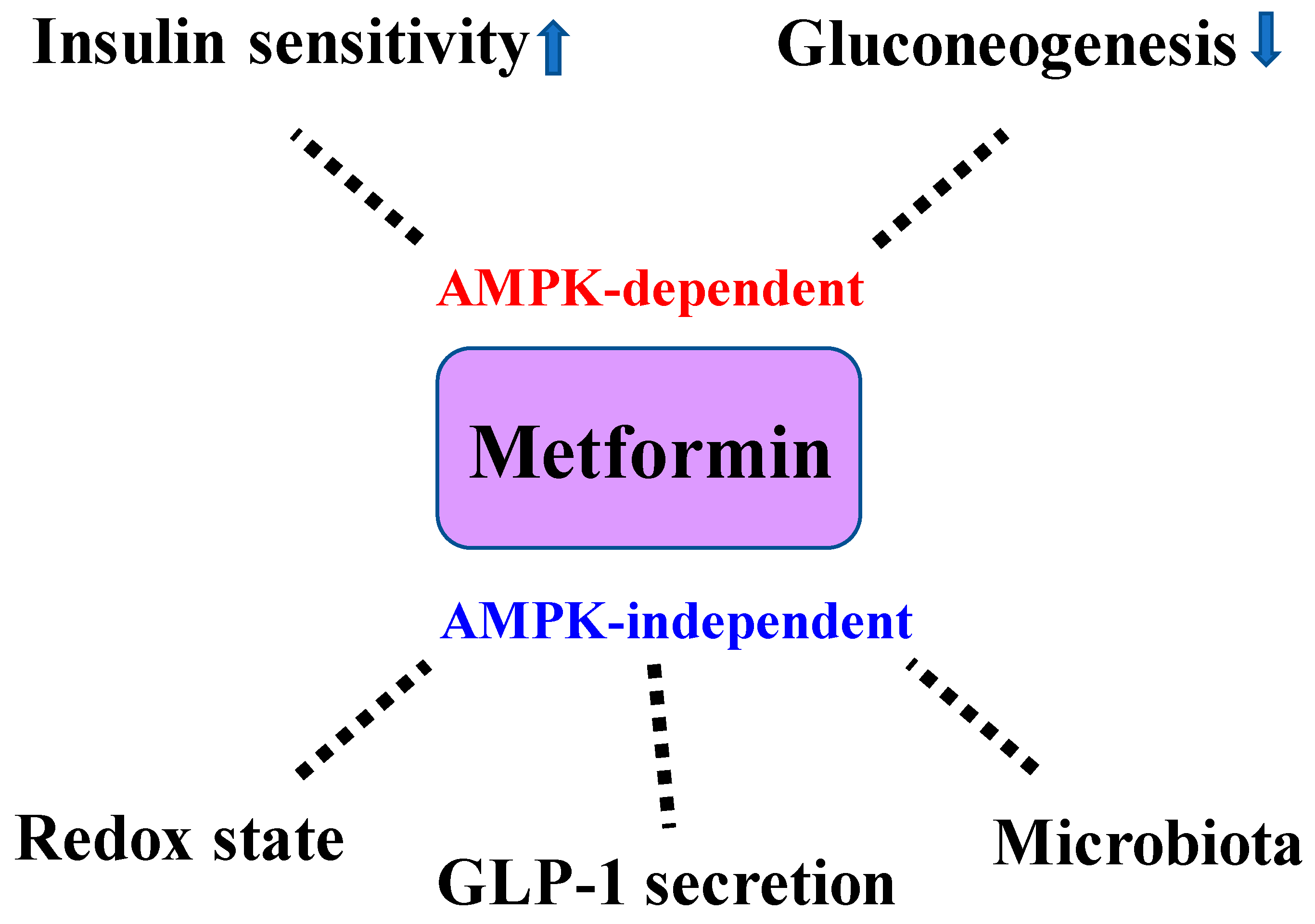 IJMS | Free Full-Text | Significance of Metformin Use in Diabetic Kidney  Disease