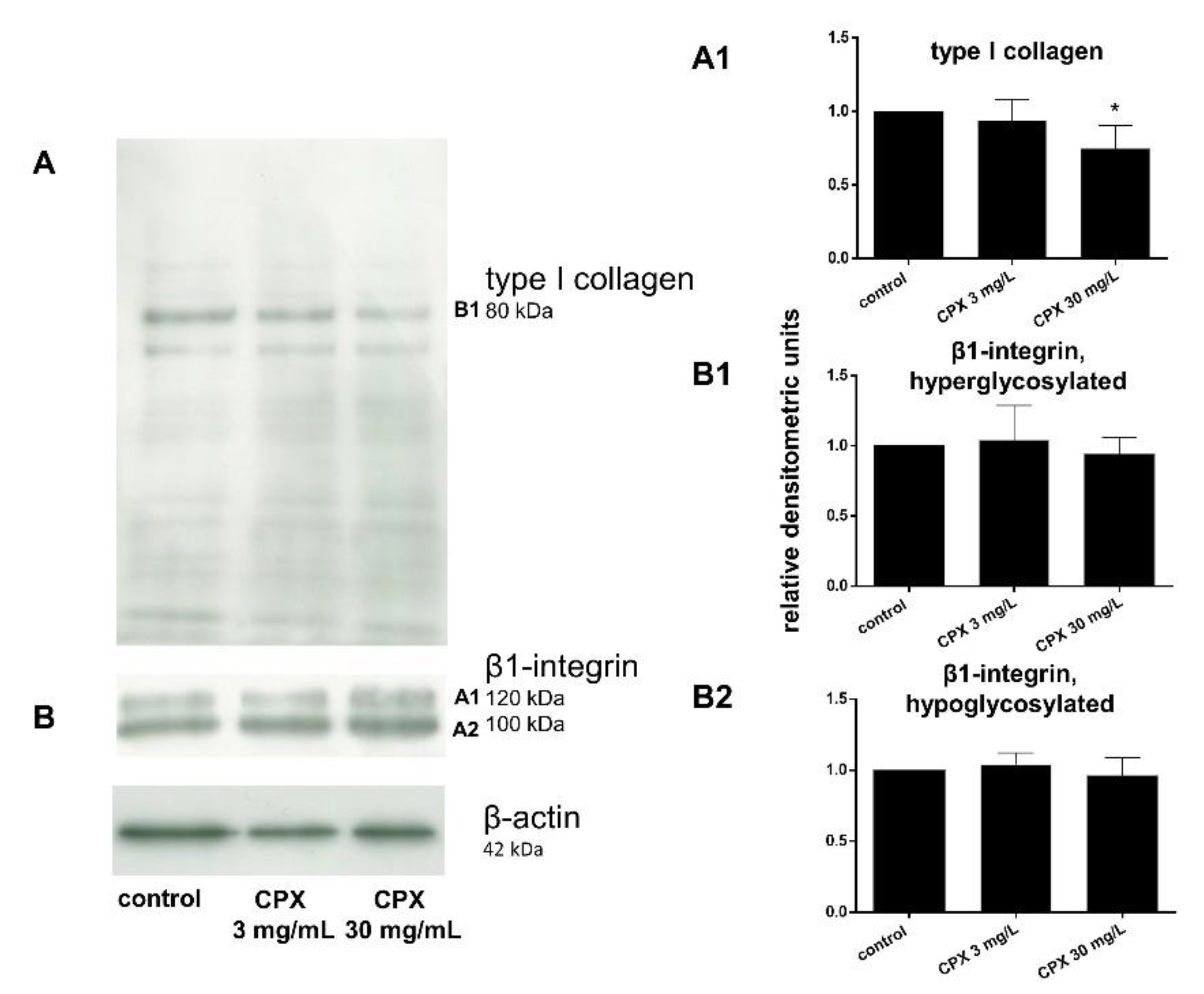 Ijms 21 04241 g008 Ijms 21 04241 g008