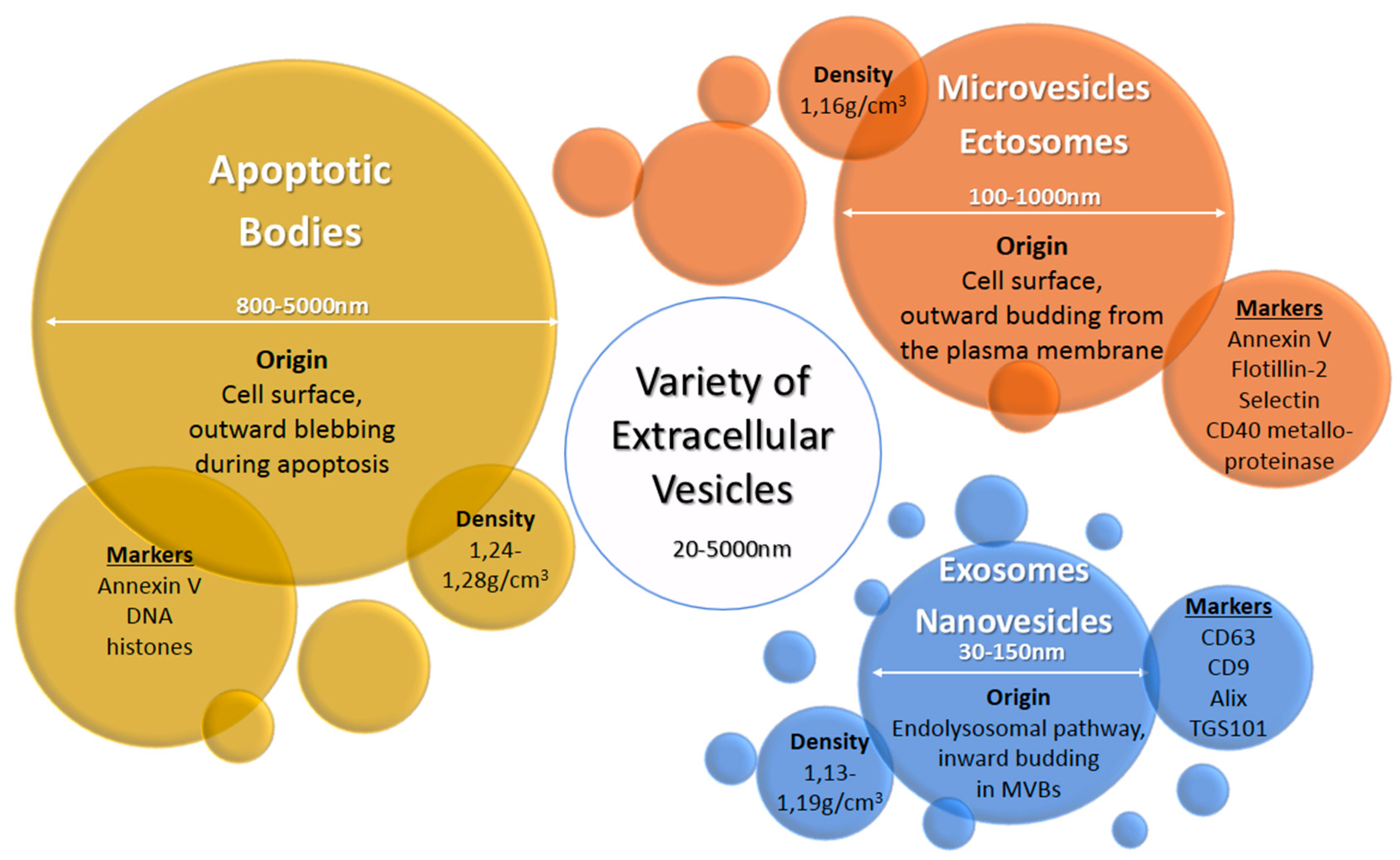 Ijms 21 04264 g001 Ijms 21 04264 g001