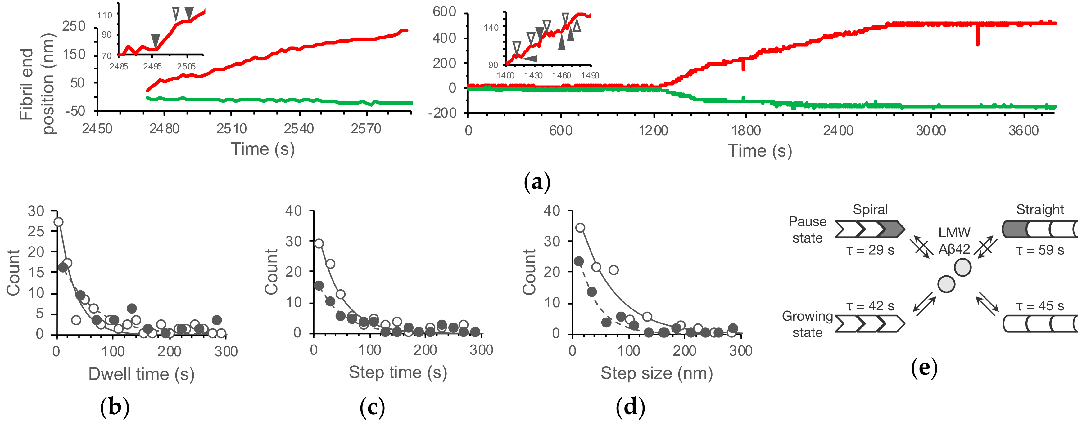 Ijms 21 04287 g004 Ijms 21 04287 g004