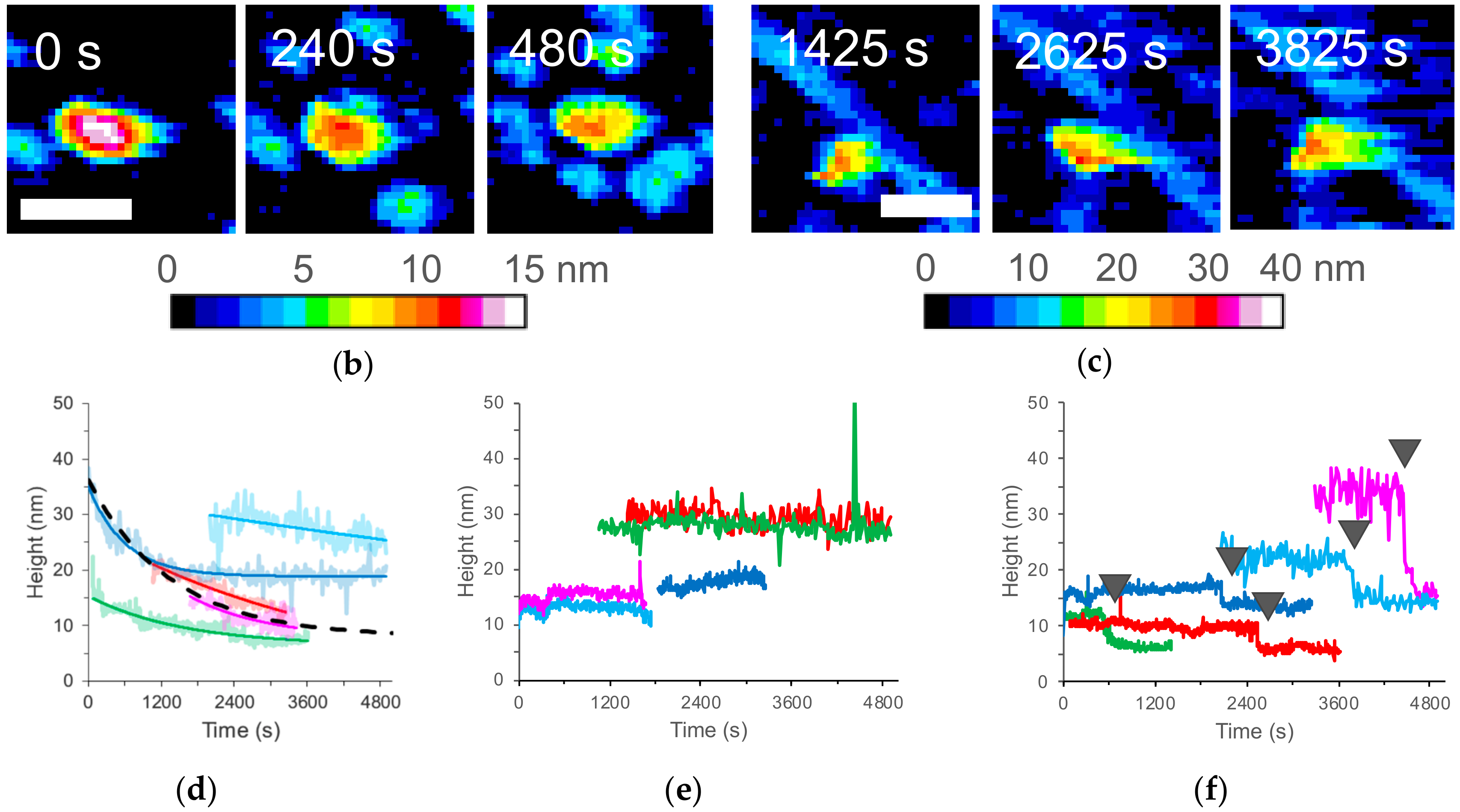 Ijms 21 04287 g006b Ijms 21 04287 g006b