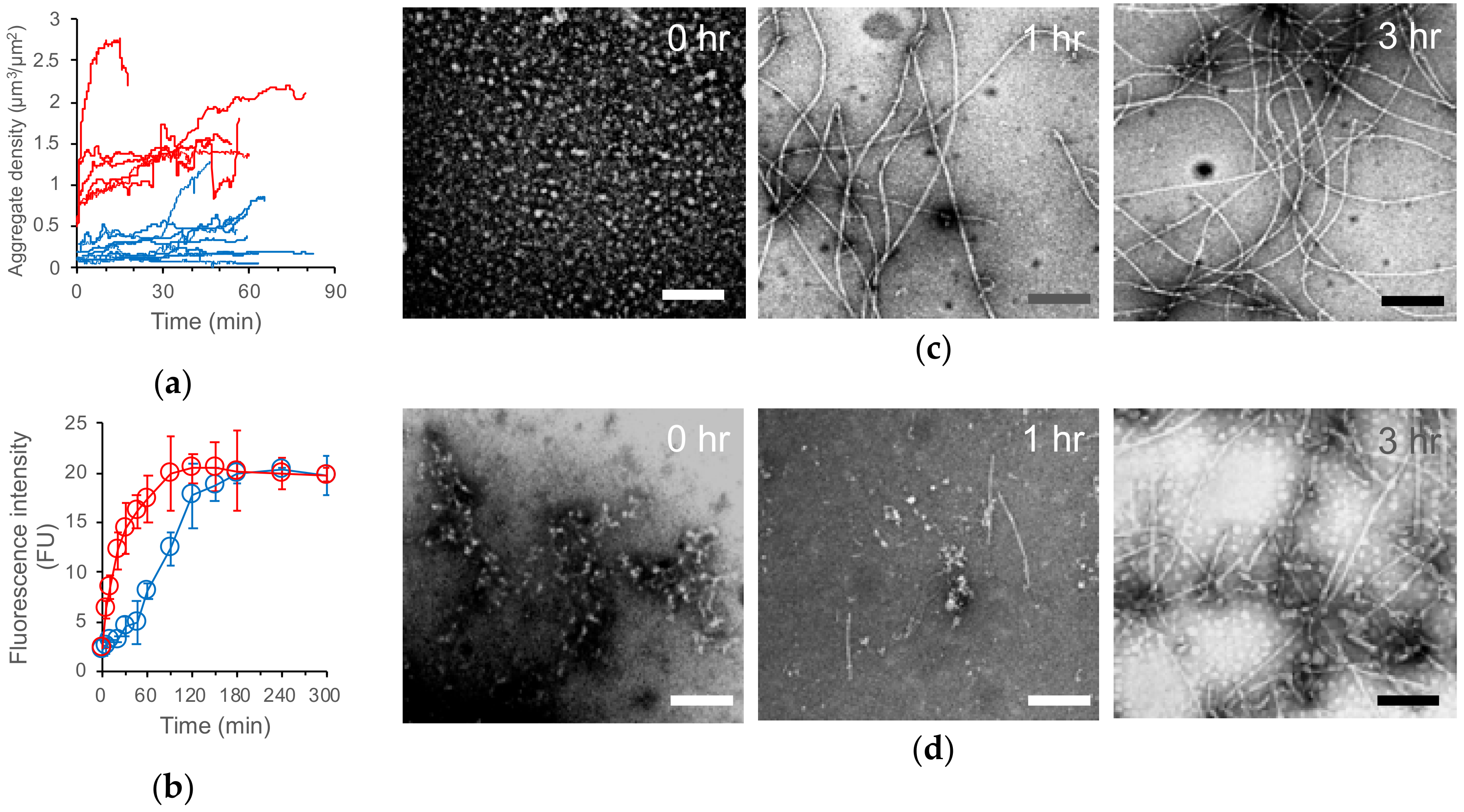 Ijms 21 04287 g014 Ijms 21 04287 g014