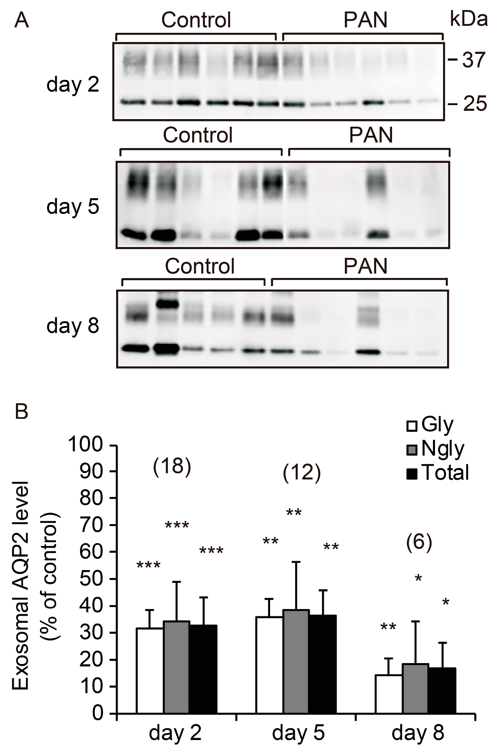 Ijms 21 04288 g002 Ijms 21 04288 g002
