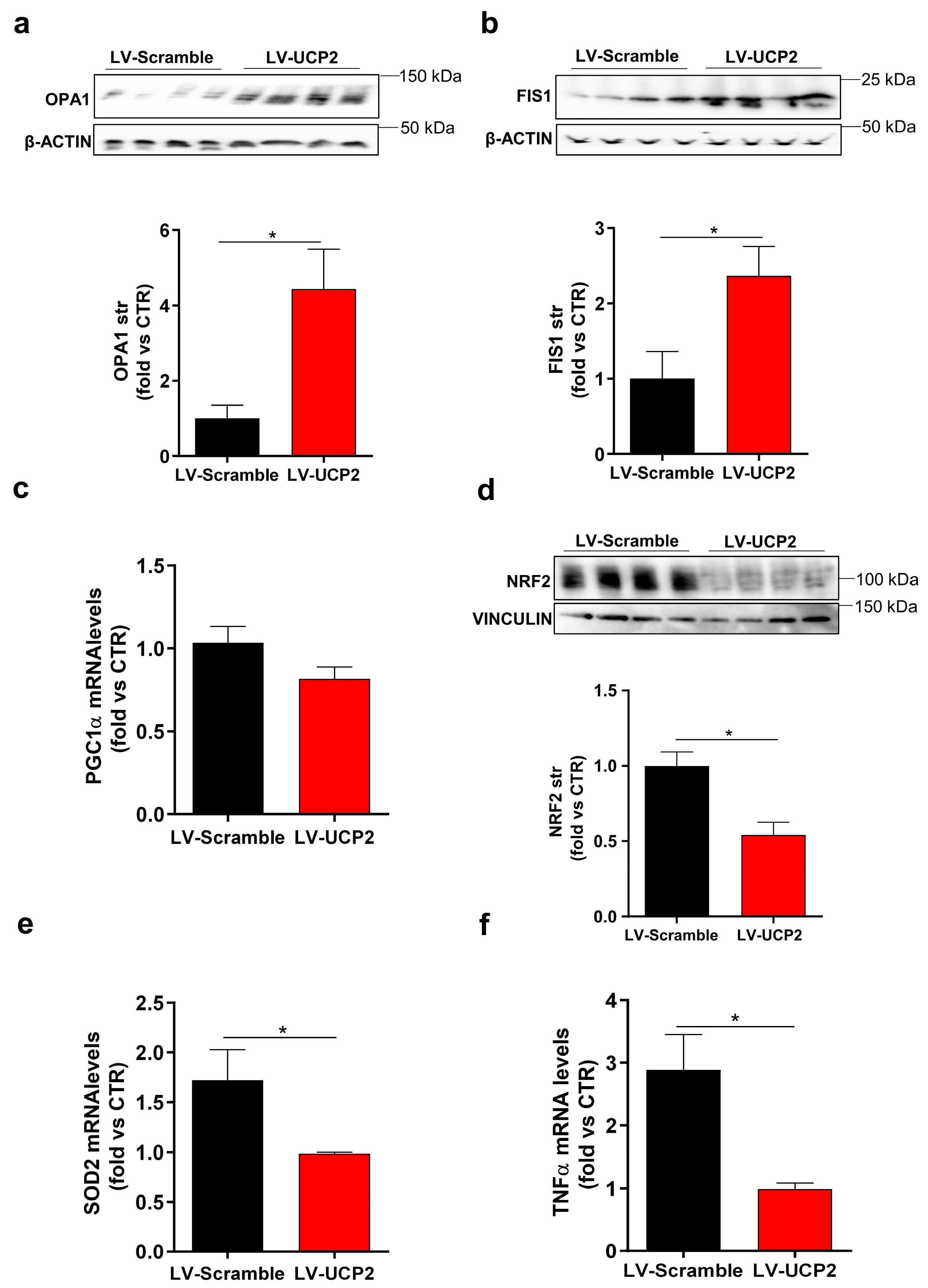 Ijms 21 04289 g004 Ijms 21 04289 g004