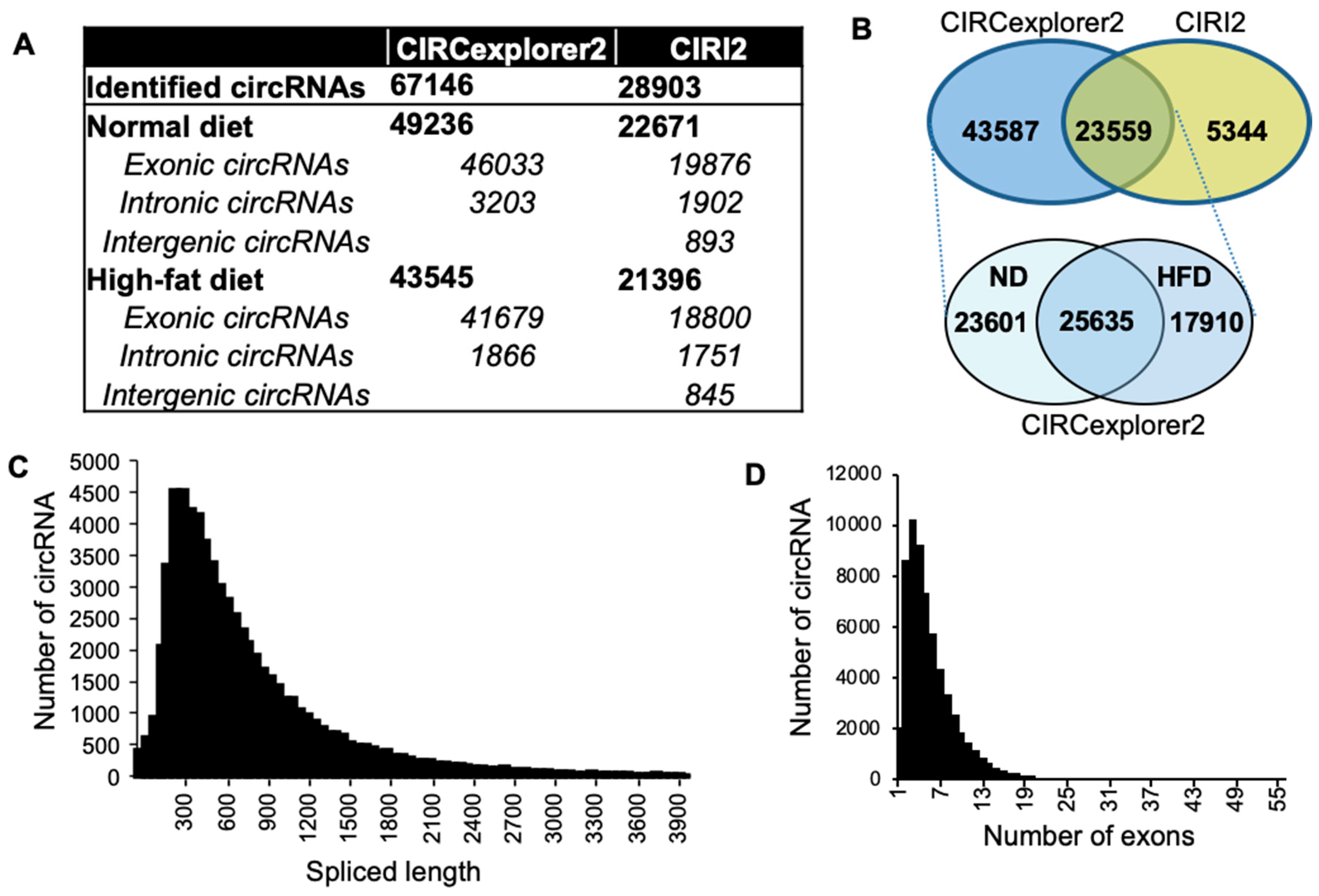 IJMS | Free Full-Text | Identification And Characterization Of Circular ...