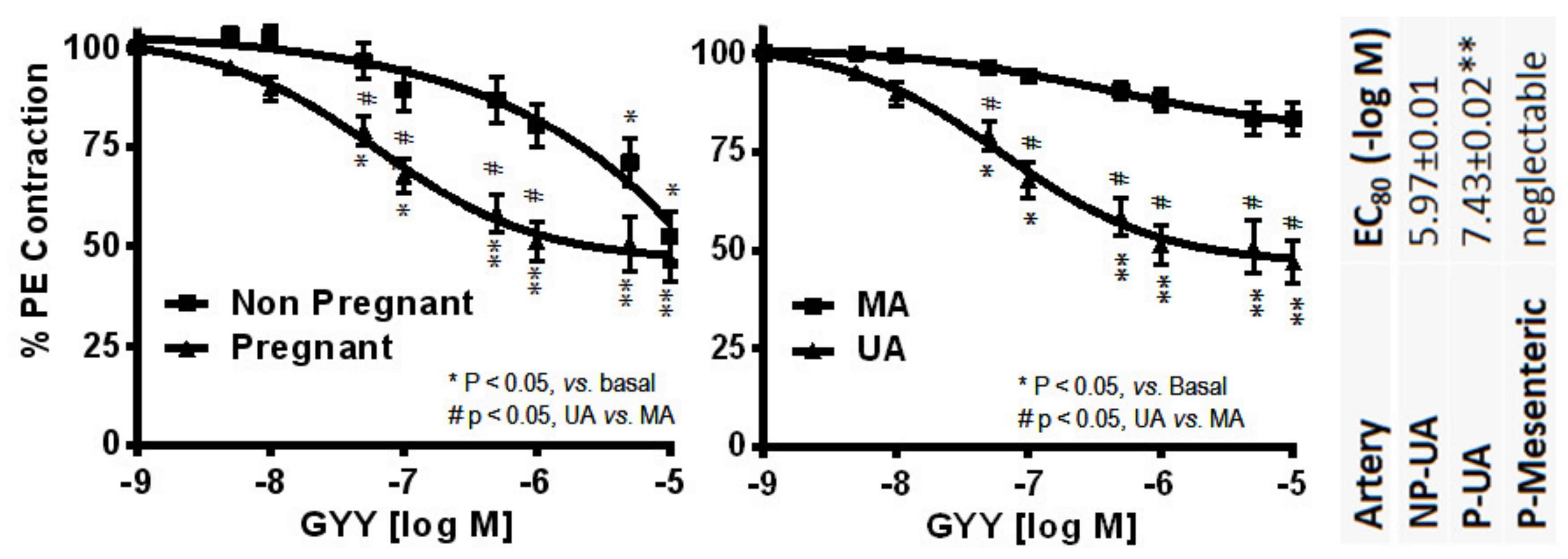 Ijms Free Full Text Estrogen Receptors And Estrogen Induced Uterine