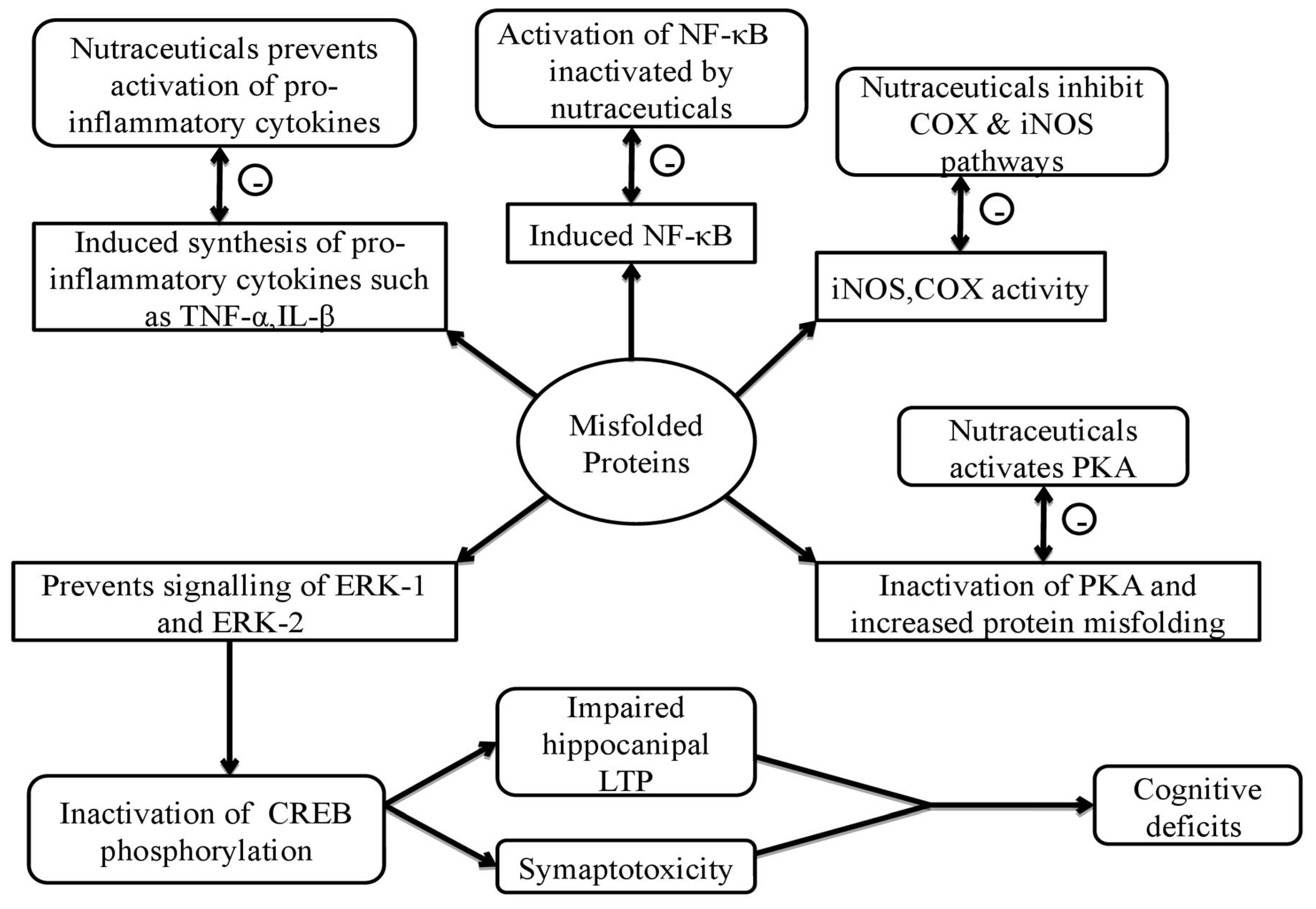 Ijms 21 04424 g002 Ijms 21 04424 g002