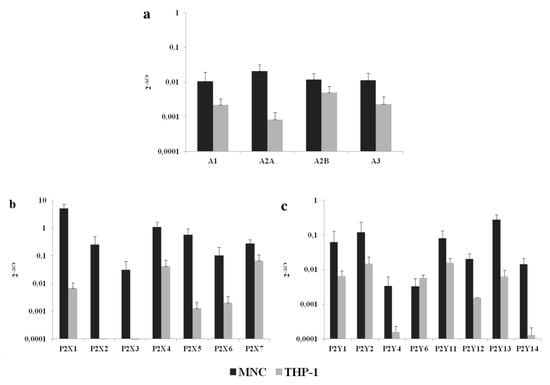 IJMS | Free Full-Text | Extracellular Adenine Nucleotides and Adenosine