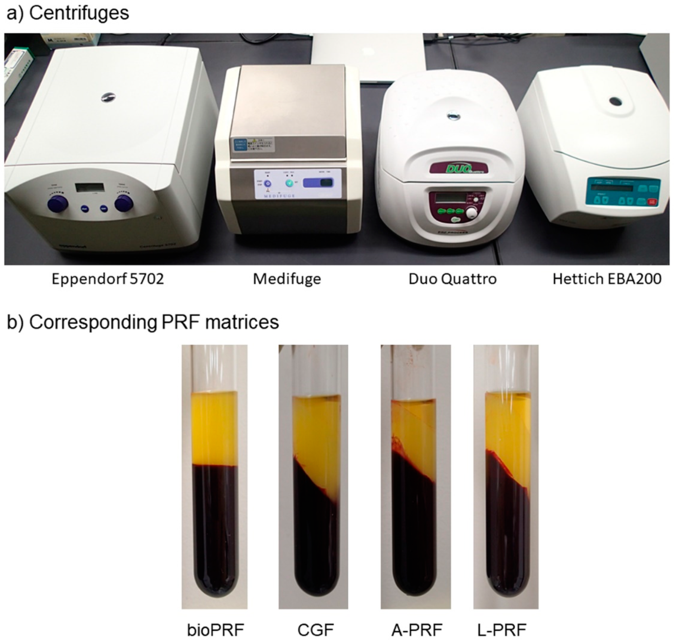 Ijms 21 04426 g006 Ijms 21 04426 g006