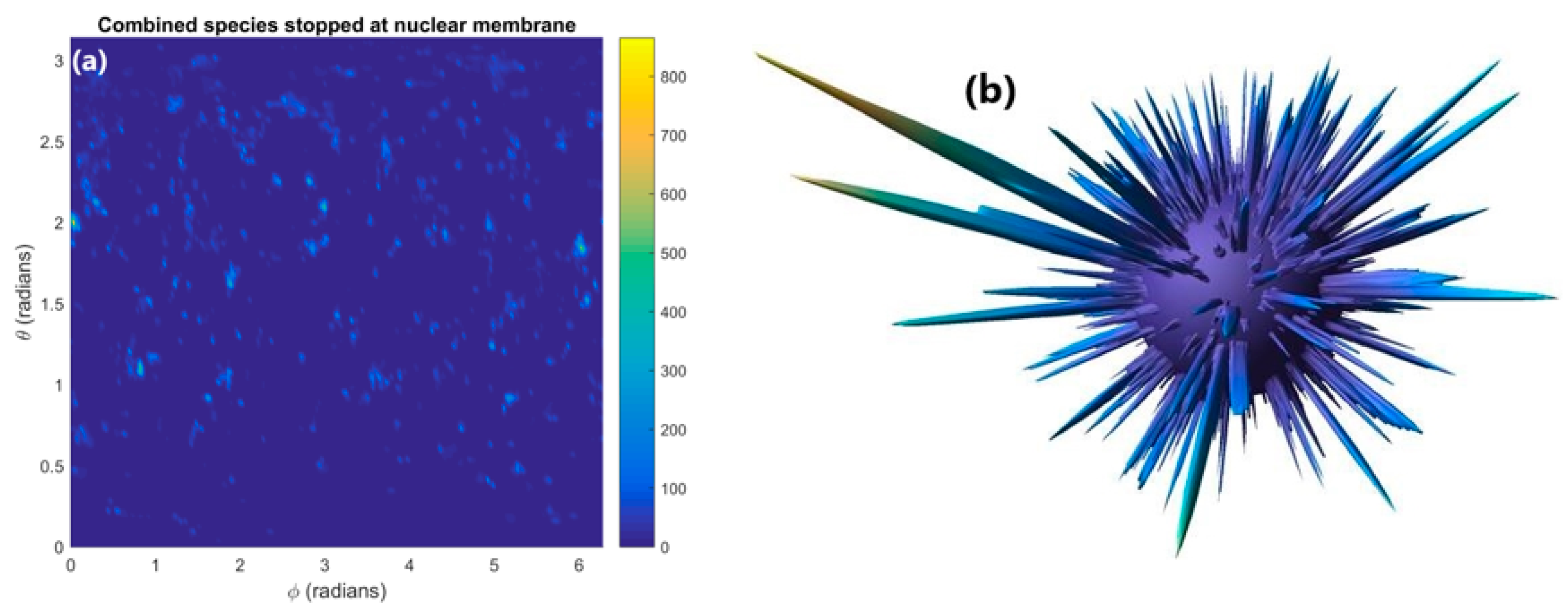 Ijms 21 04431 g004 Ijms 21 04431 g004