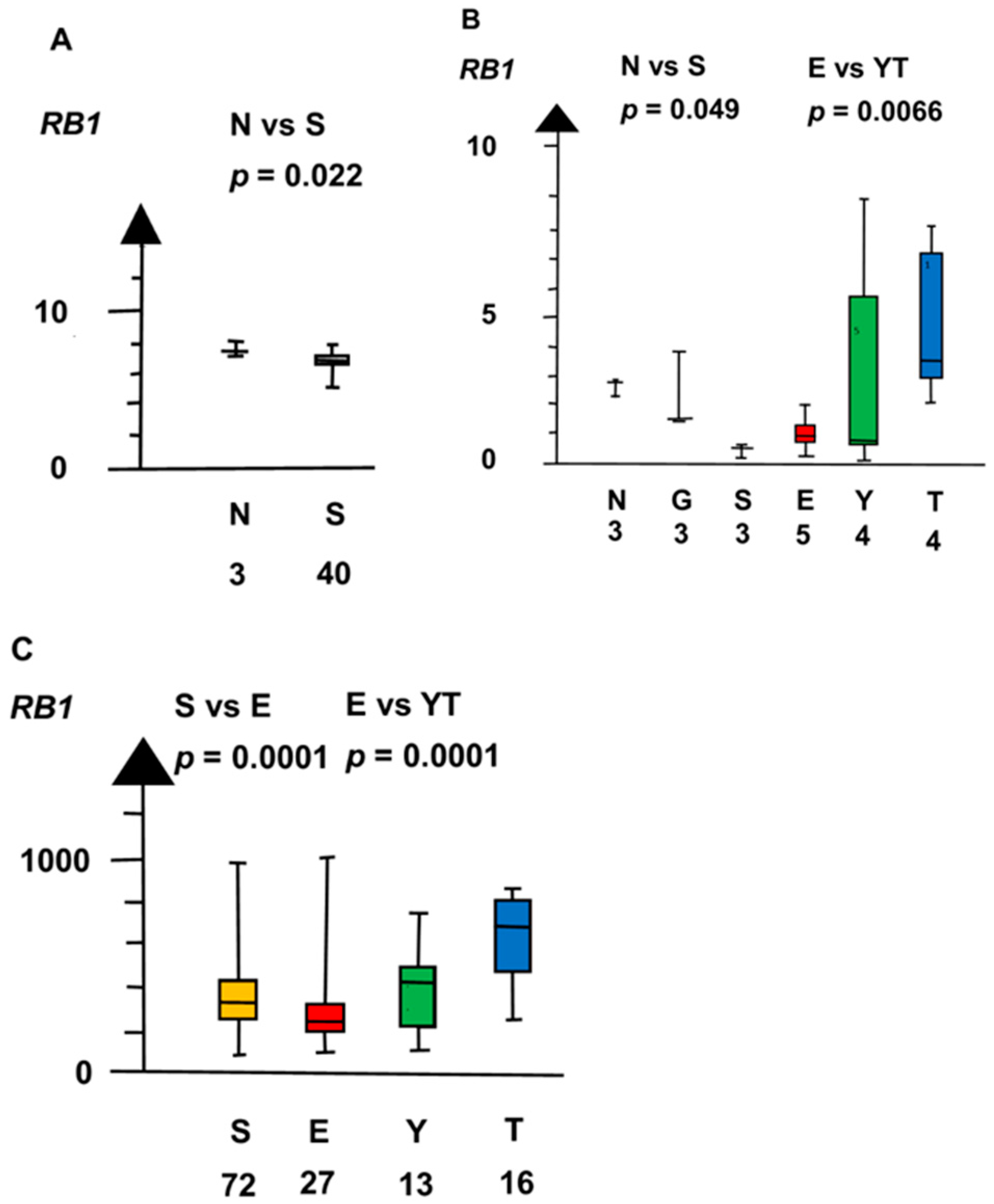 Ijms 21 04487 g008 Ijms 21 04487 g008