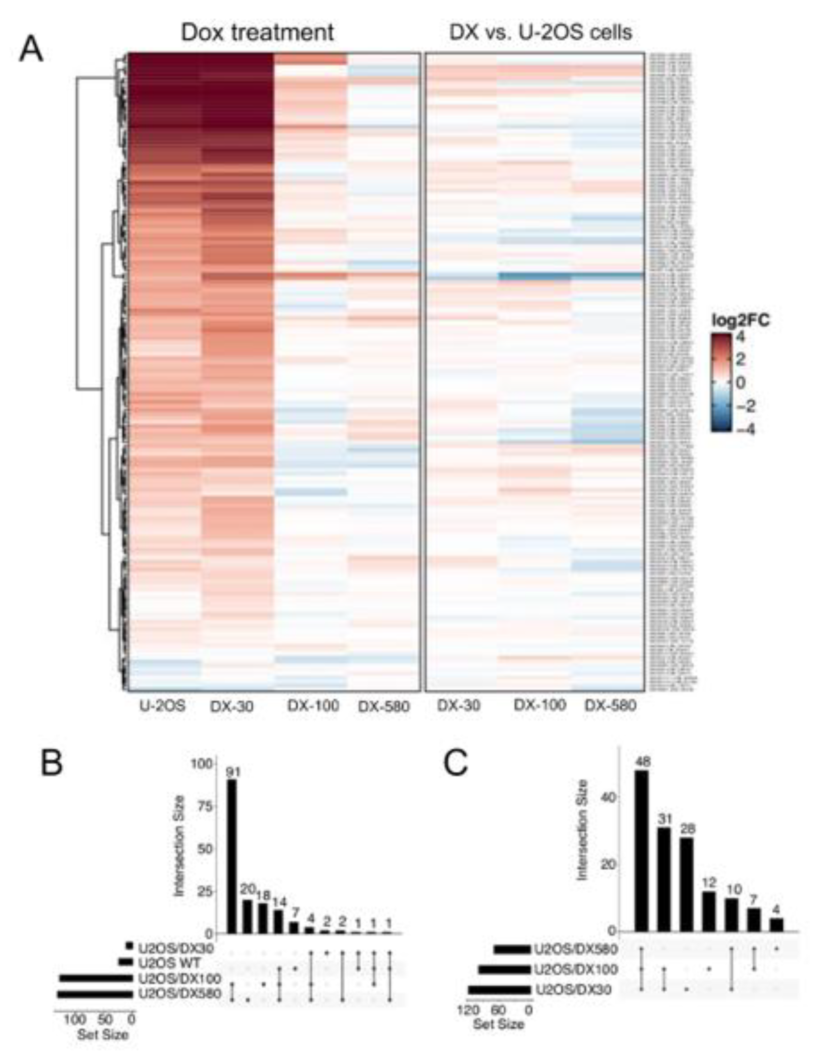 Ijms 21 04500 g001 Ijms 21 04500 g001