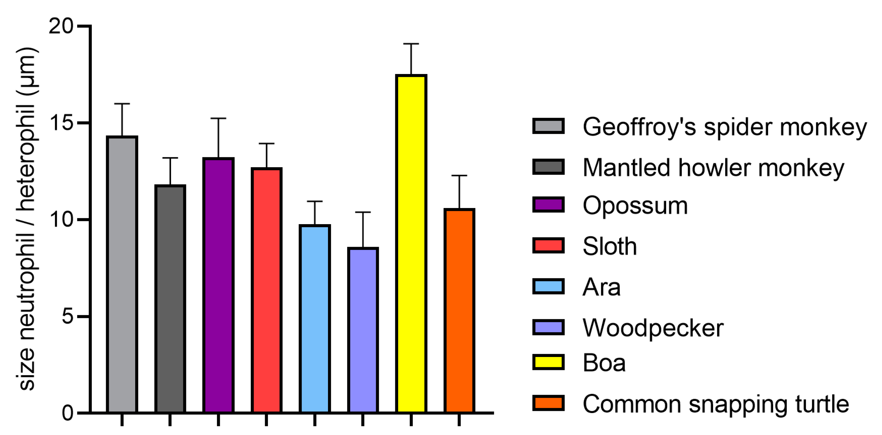 Ijms 21 04523 g003 Ijms 21 04523 g003