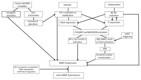 Ijms Free Full Text The Impact Of Matrix Metalloproteinase 9 On The Sequential Steps Of The Metastatic Process Html