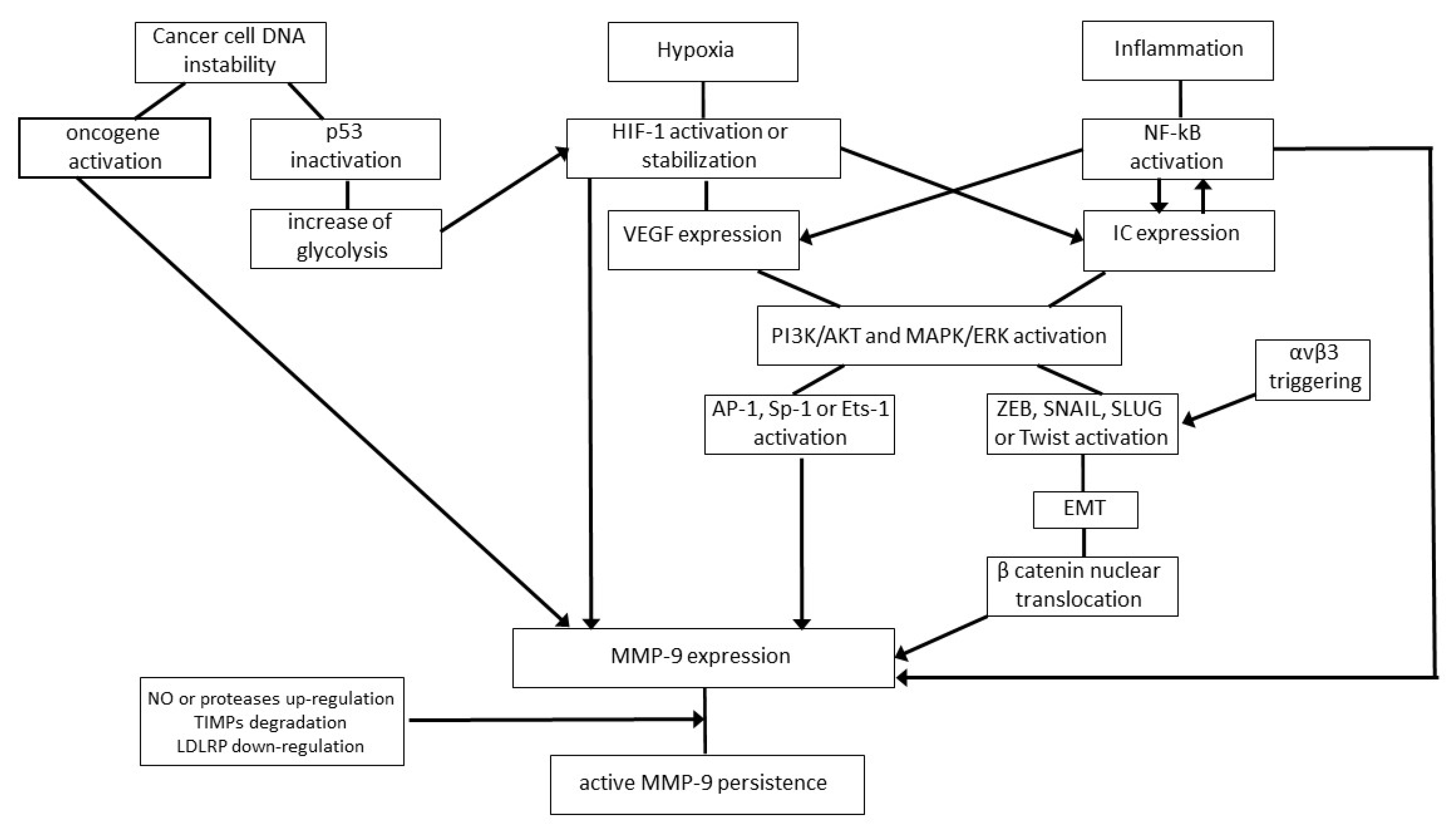 Ijms Free Full Text The Impact Of Matrix Metalloproteinase 9 On The Sequential Steps Of The Metastatic Process Html