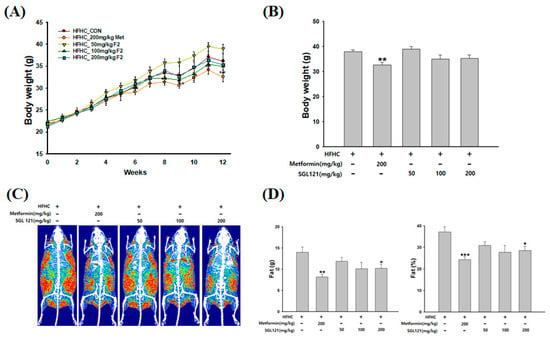 Ijms Free Full Text Sgl 121 Attenuates Nonalcoholic Fatty Liver Disease Through Adjusting Lipid Metabolism Through Ampk Signaling Pathway Html