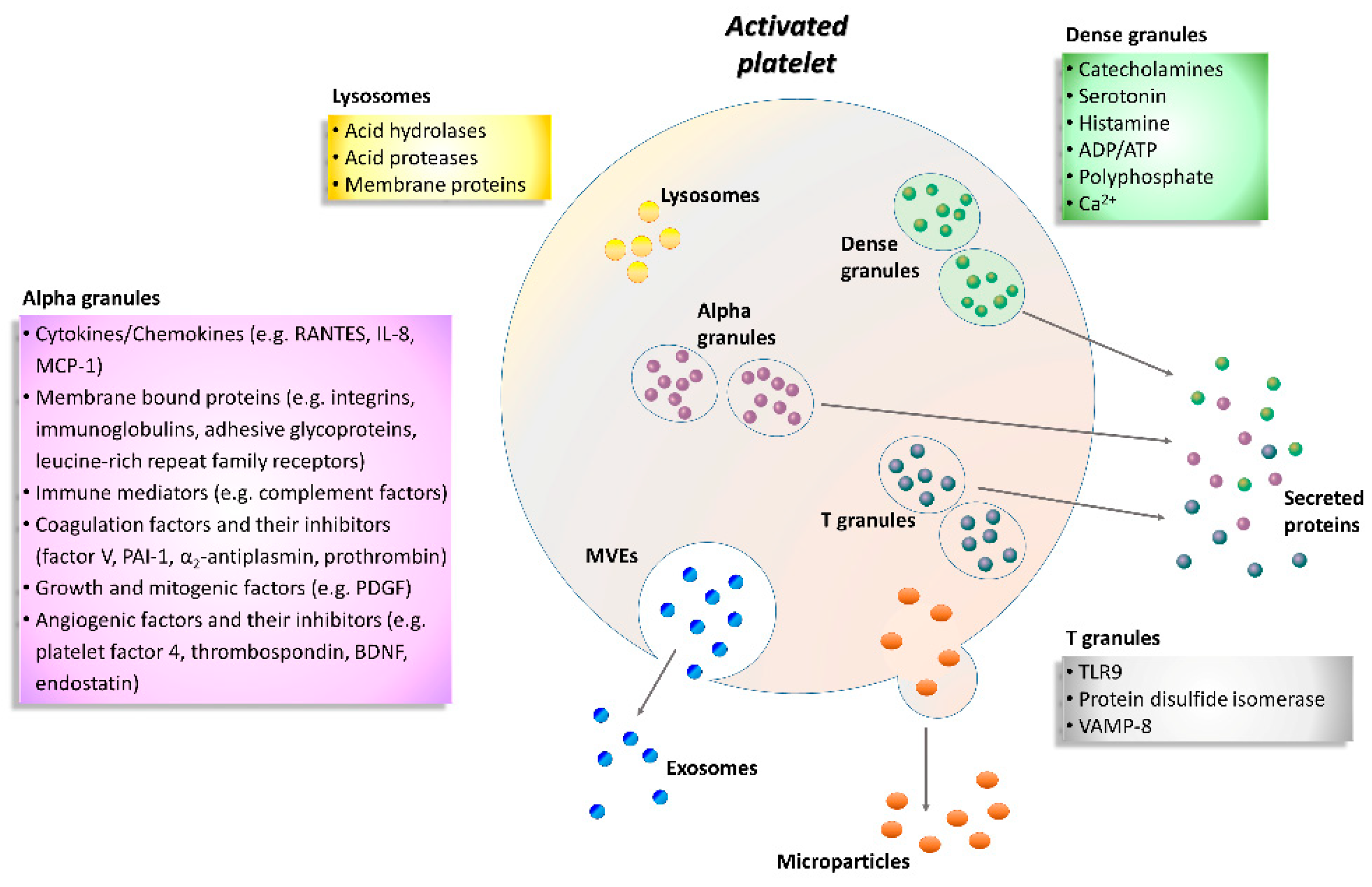 Ijms Free Full Text Platelets In Healthy And Disease States From Biomarkers Discovery To Drug Targets Identification By Proteomics Html