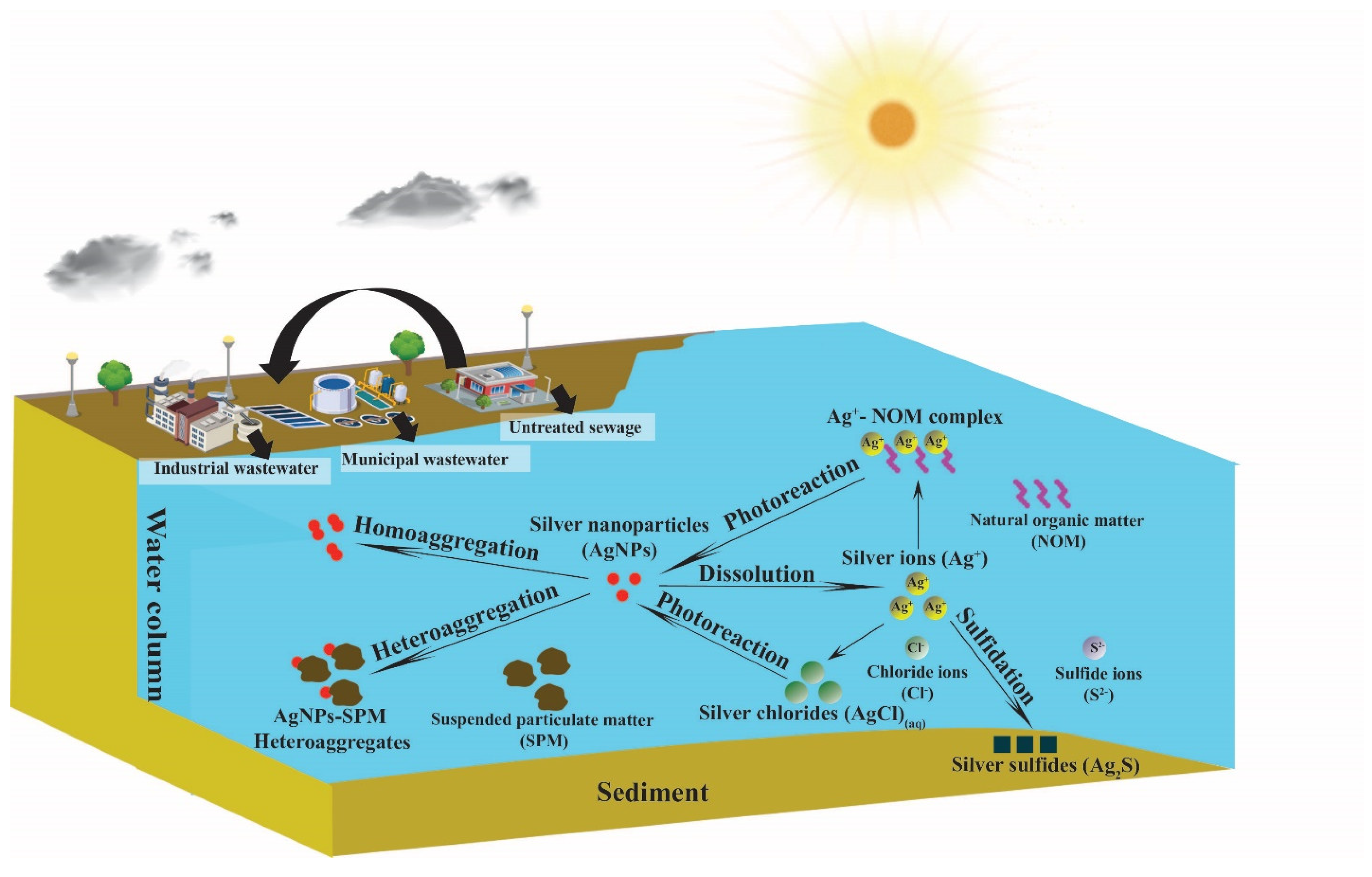 Ijms Free Full Text A Review On The Environmental Fate Models For Predicting The Distribution Of Engineered Nanomaterials In Surface Waters Html