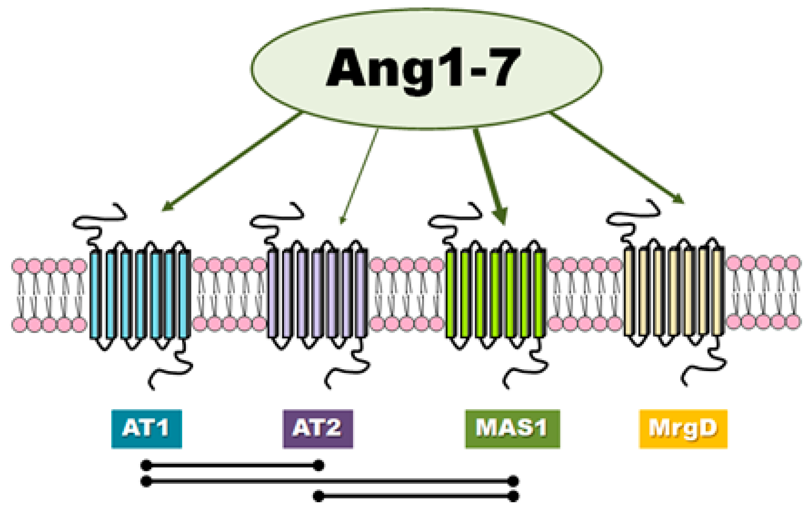 Ijms 21 04572 g002 Ijms 21 04572 g002