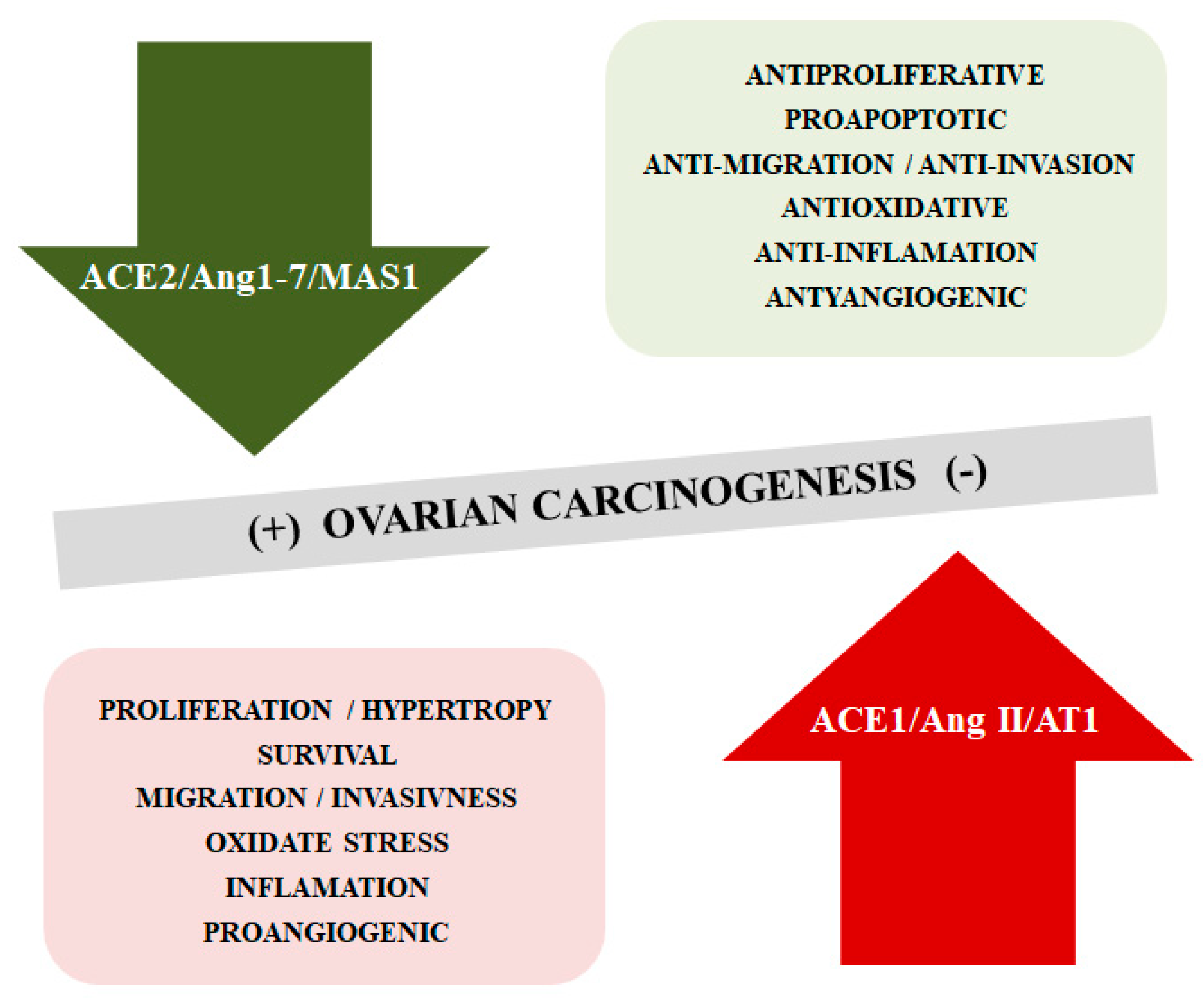 Ijms 21 04572 g003 Ijms 21 04572 g003