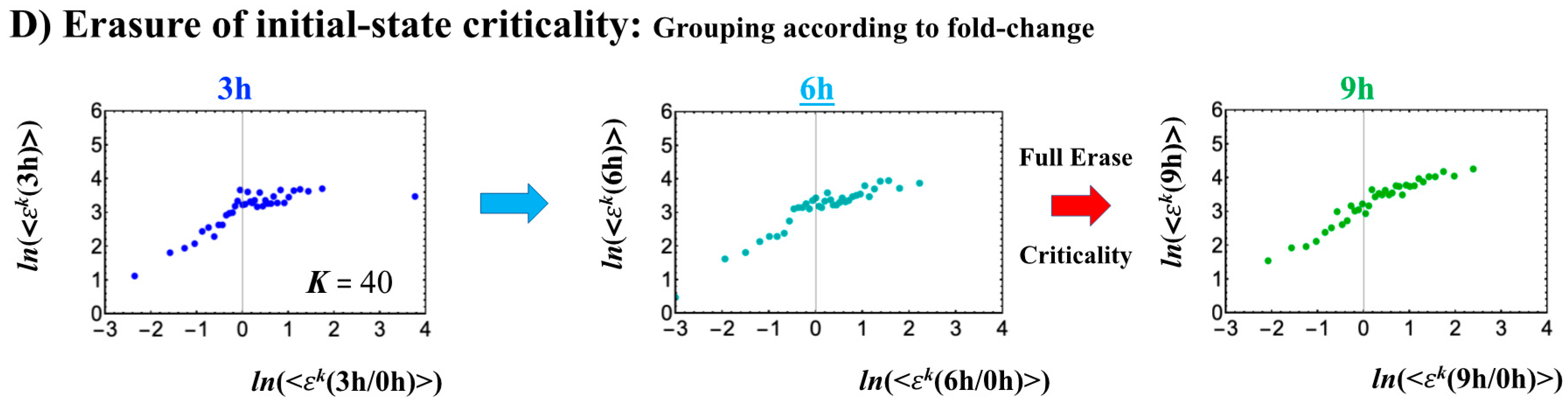 Ijms 21 04581 g009b Ijms 21 04581 g009b