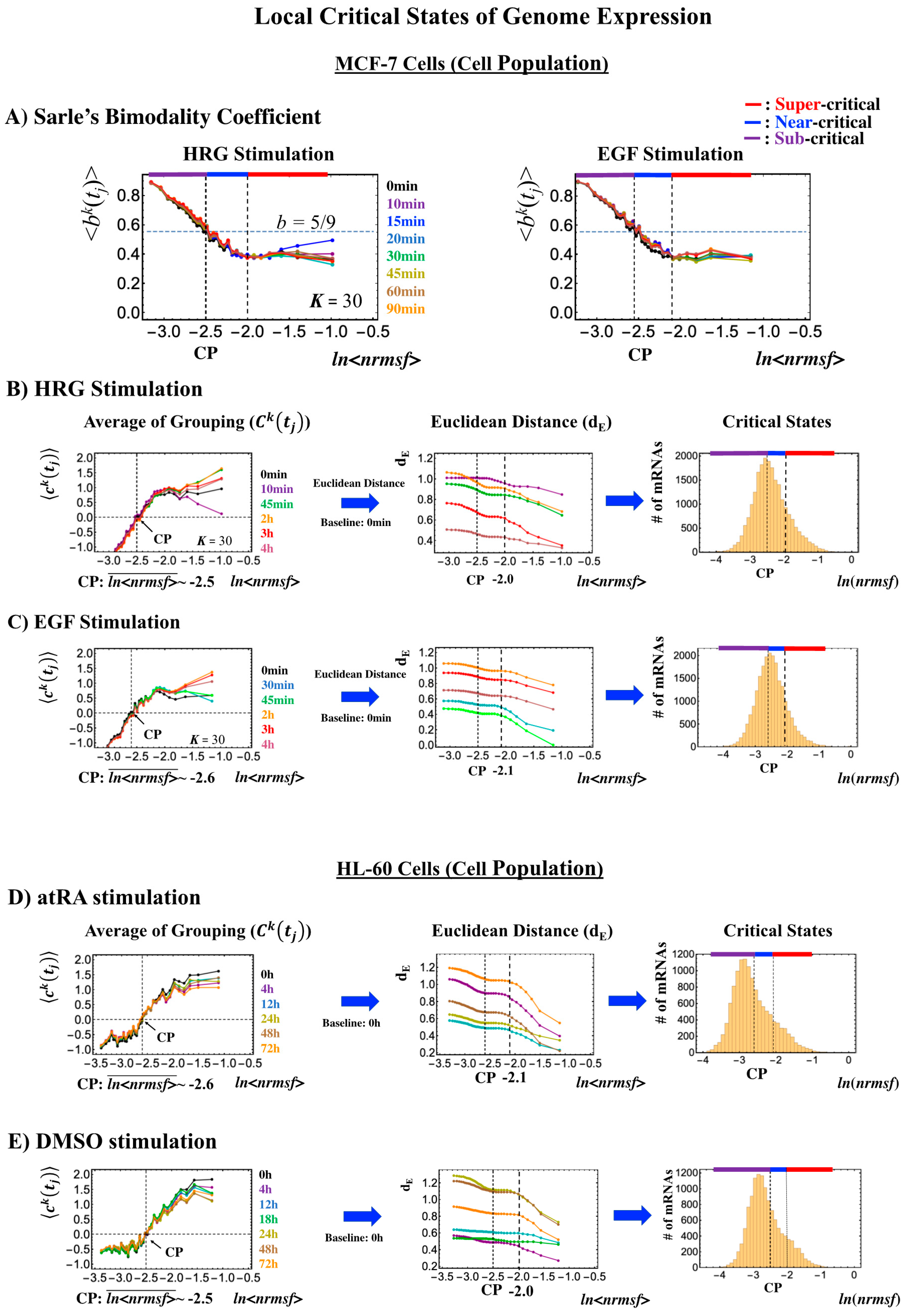 Ijms 21 04581 g010 Ijms 21 04581 g010
