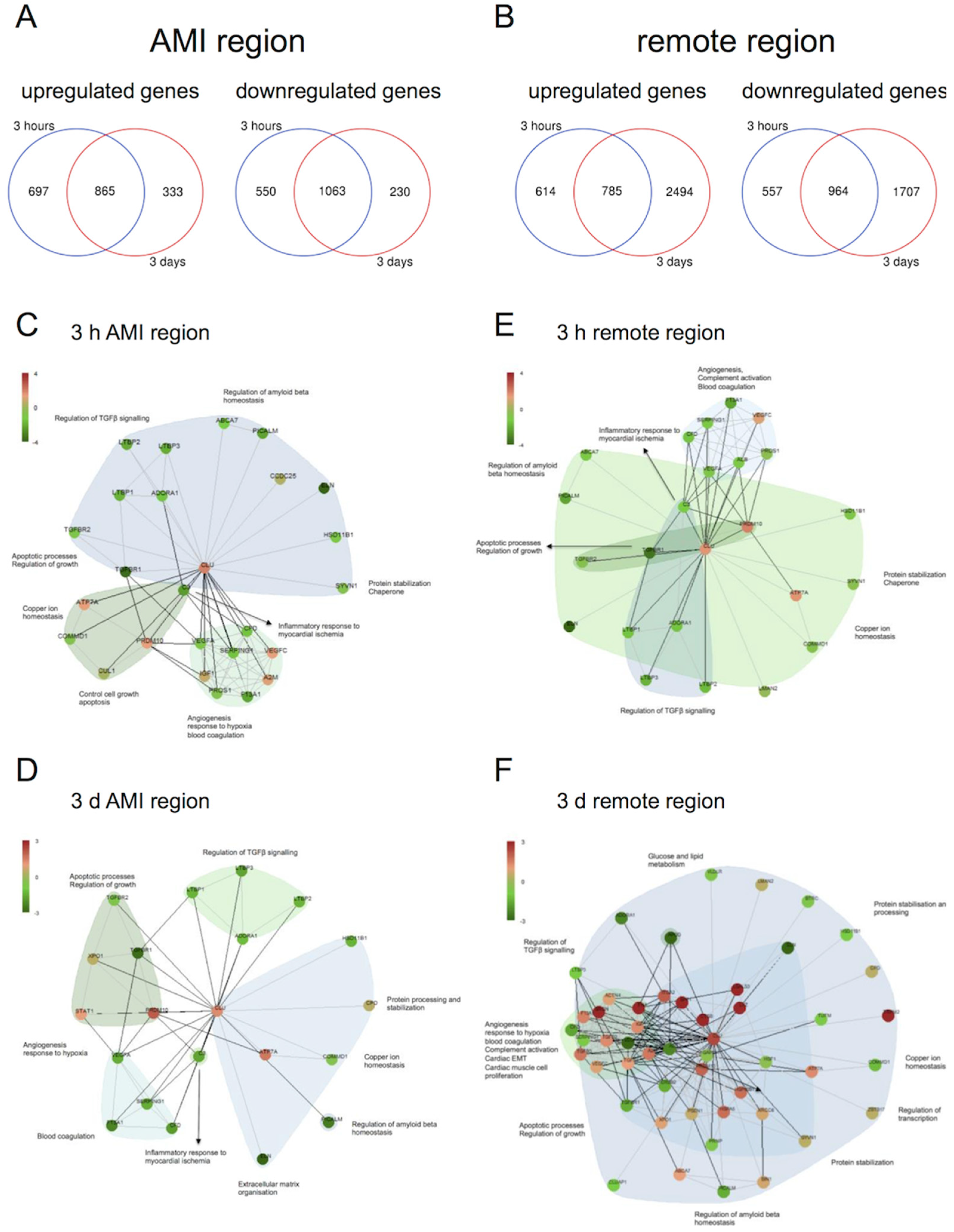 Ijms 21 04591 g006 Ijms 21 04591 g006