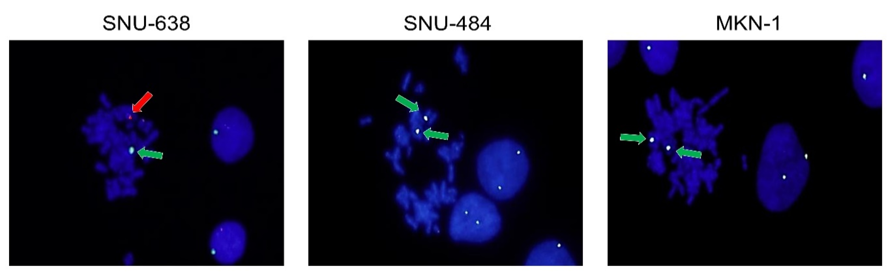 Ijms 21 04598 g002 Ijms 21 04598 g002