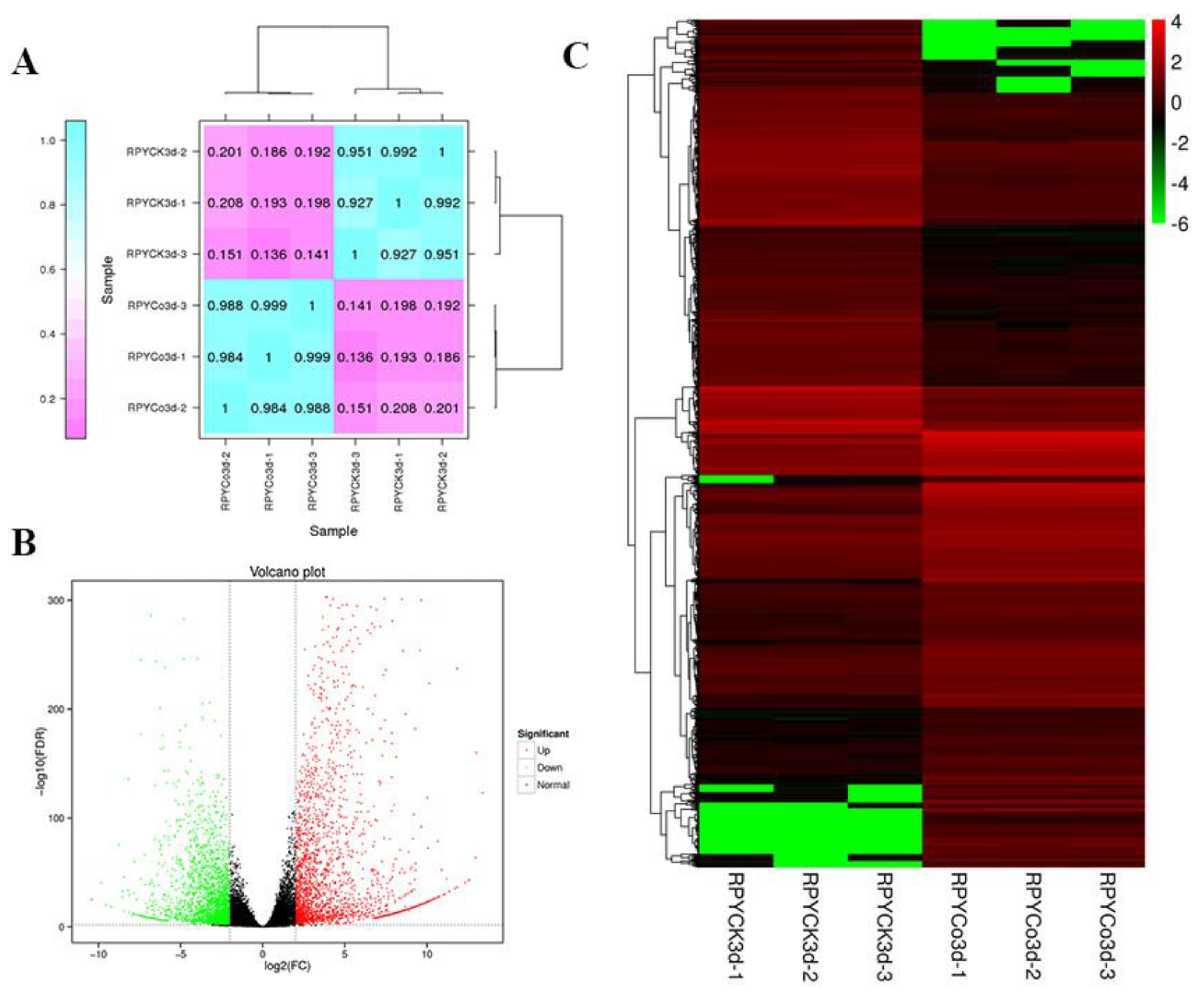 Oxidative stress phenotyping results of NOVEL ROS TFs Heatmap