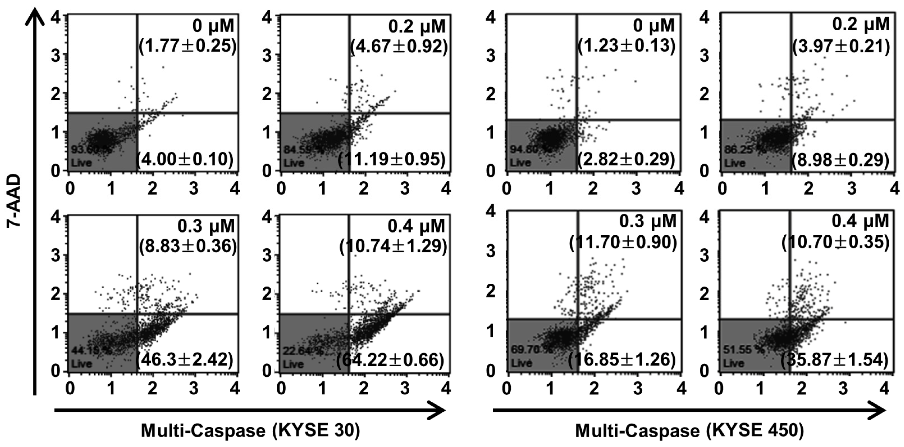 Ijms 21 04640 g006 Ijms 21 04640 g006