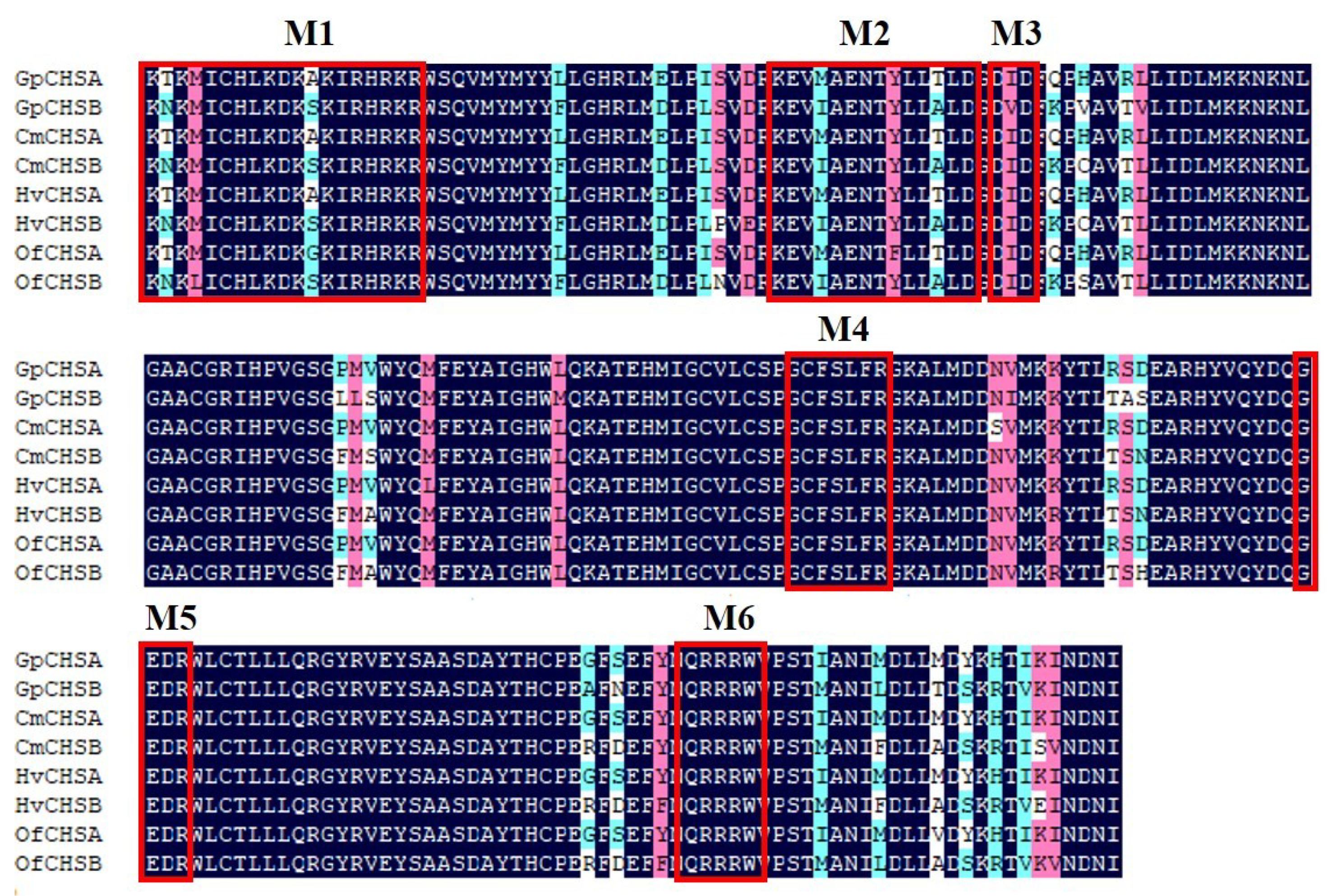 Ijms 21 04656 g001 Ijms 21 04656 g001
